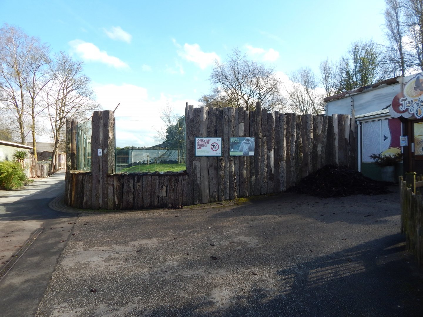 Sulawesi crested macaque habitat 040324