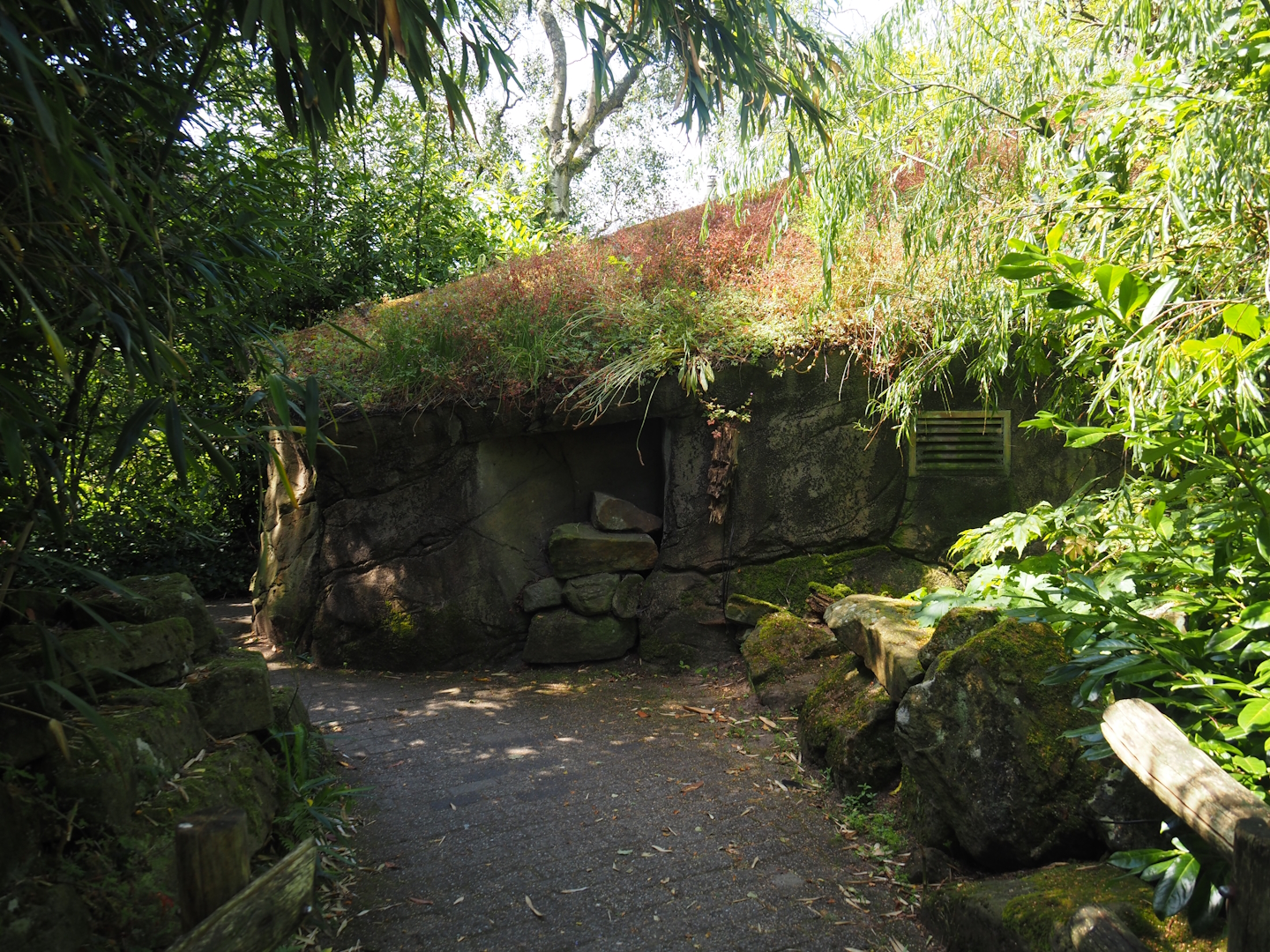 Sulawesi crested macaque house, 2024-06-30