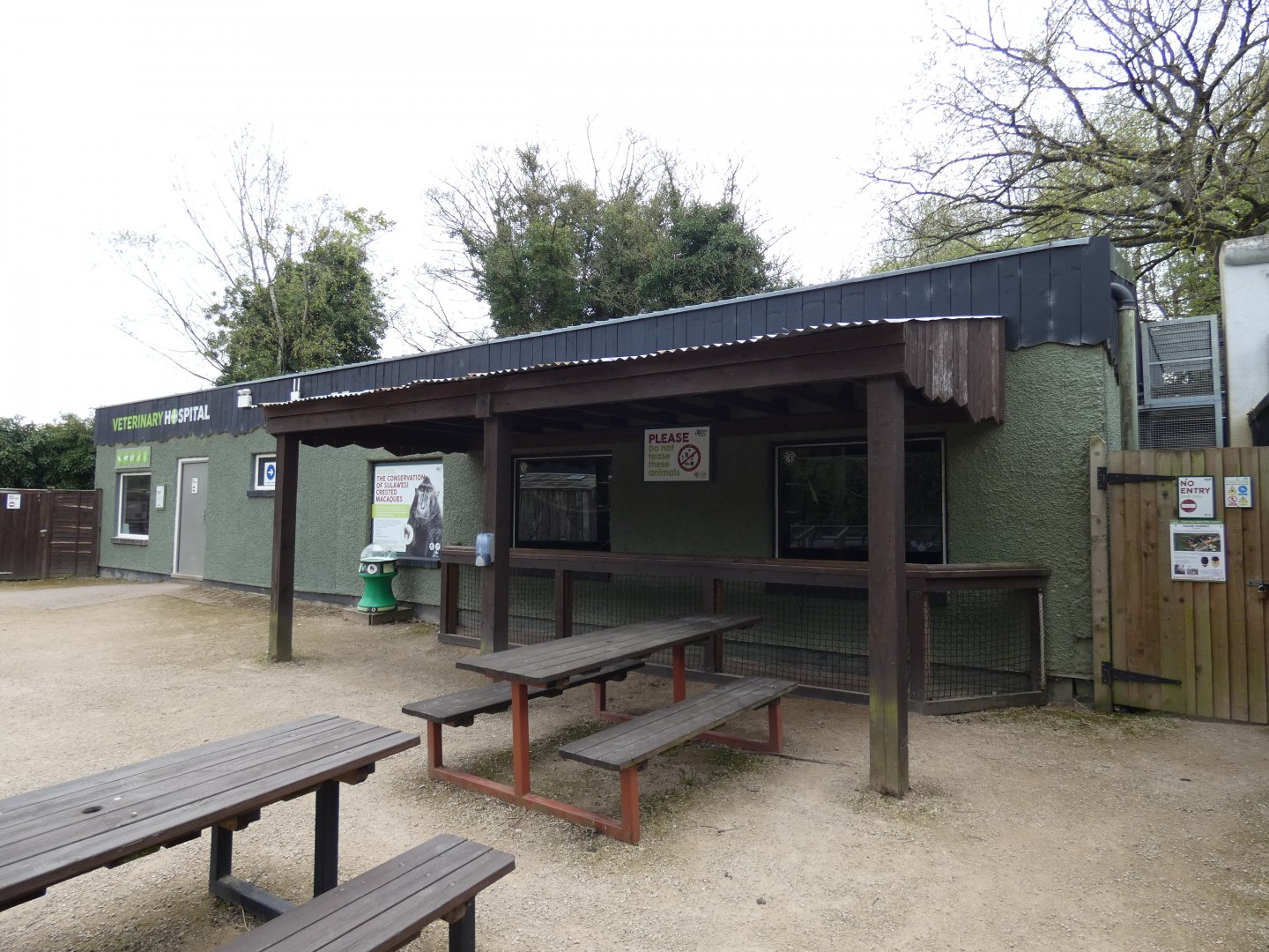 Sulawesi crested macaque indoor viewing area