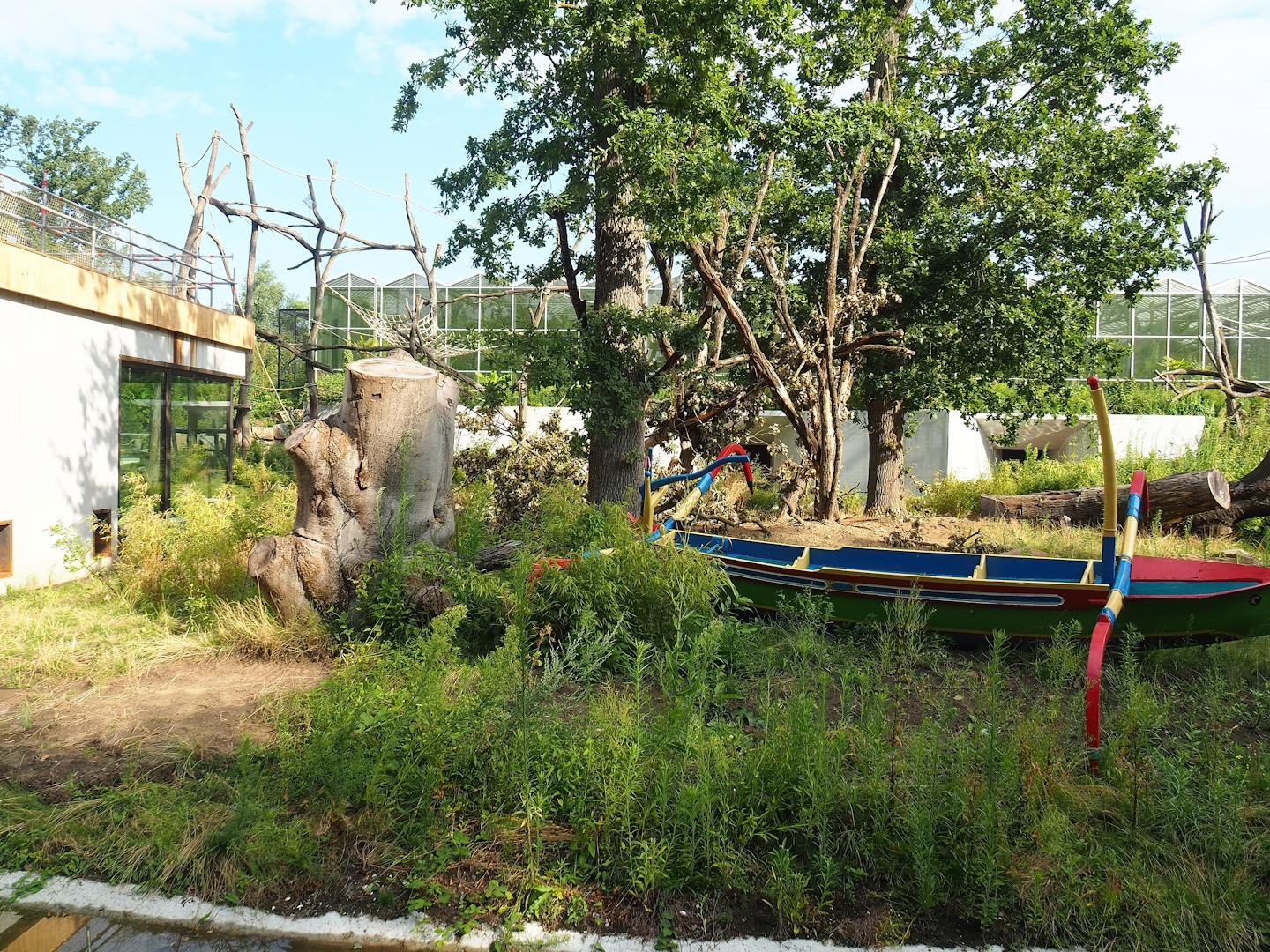 Sulawesi crested macaque island, 2023-07-26