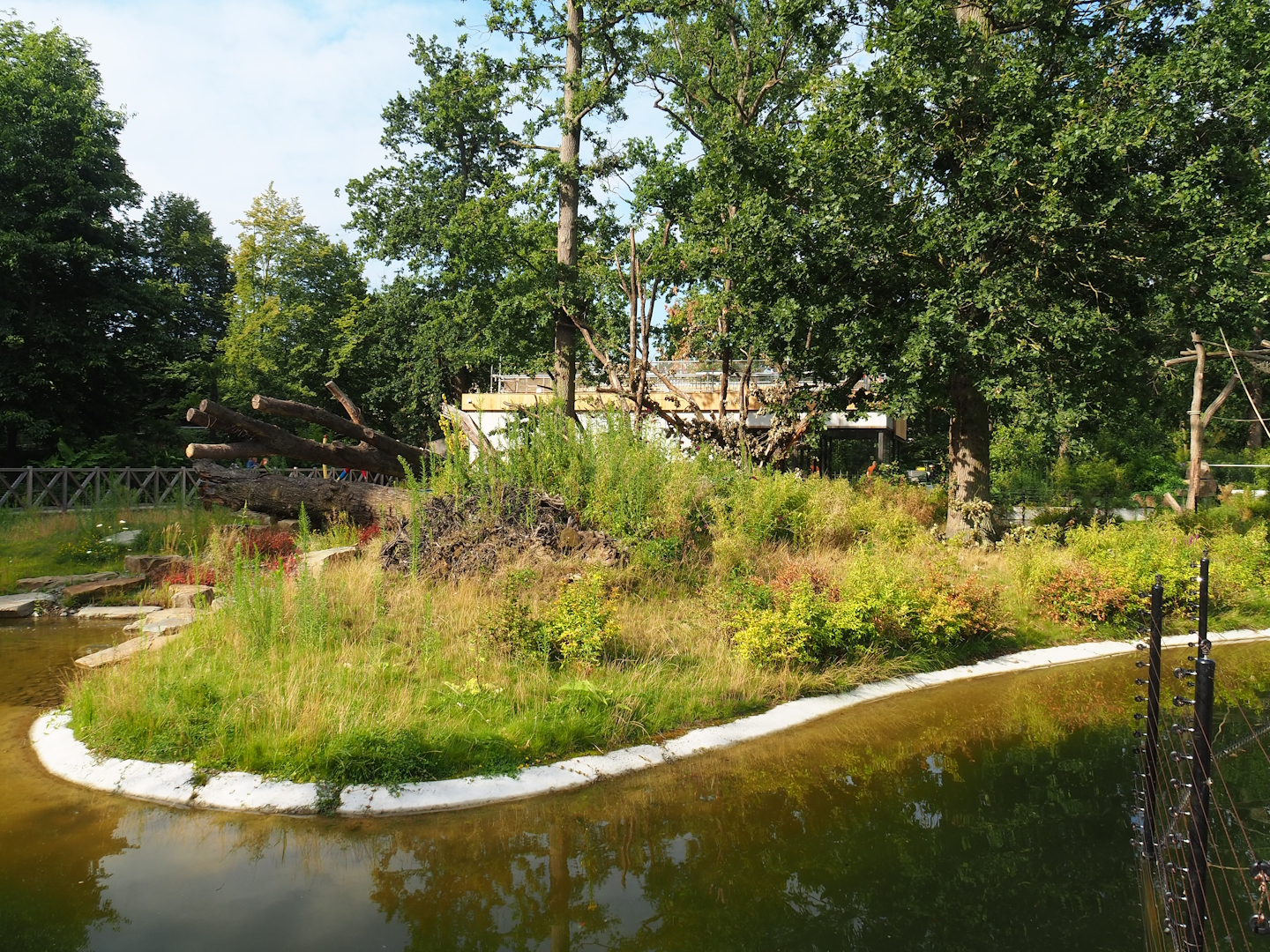 Sulawesi crested macaque island, 2023-07-26