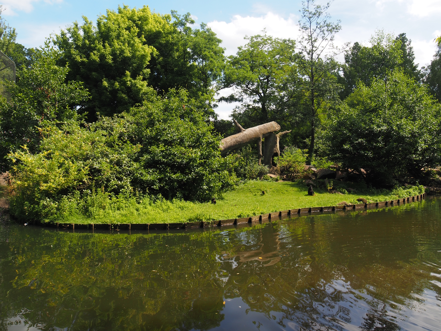 Sulawesi crested macaque island, 2024-06-30
