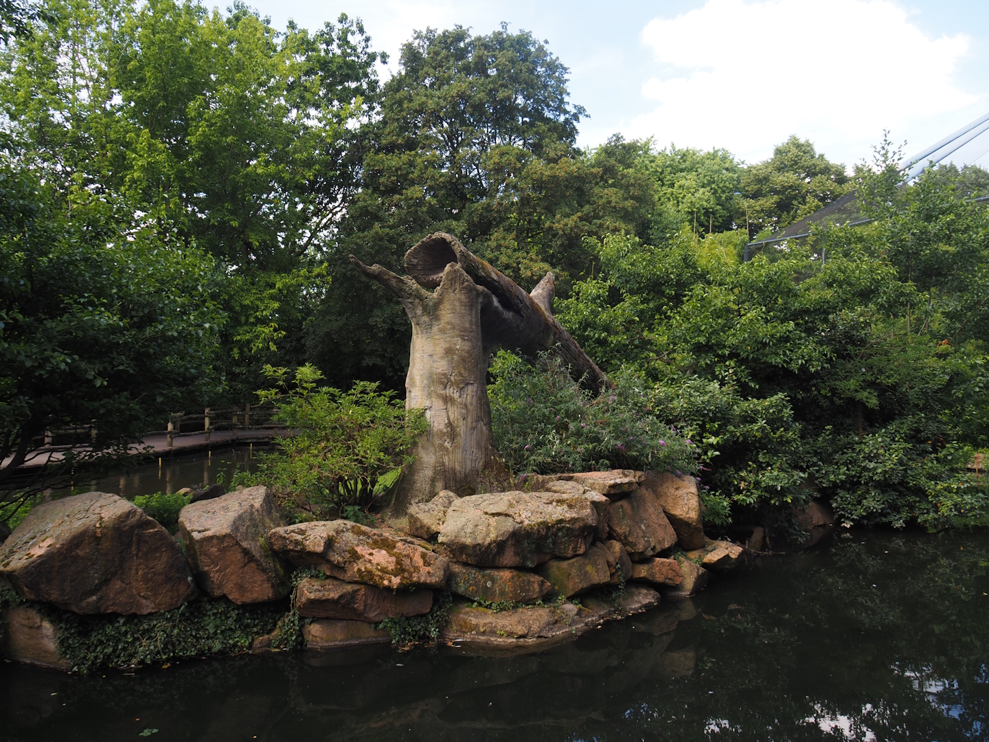 Sulawesi crested macaque island, 2024-06-30