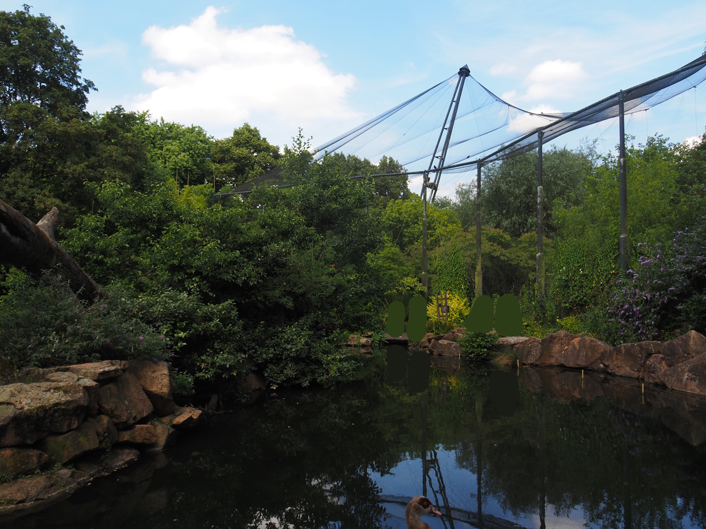 Sulawesi crested macaque island and Burung Asian aviary (Now closed former walk-through aviary), 2024-06-30