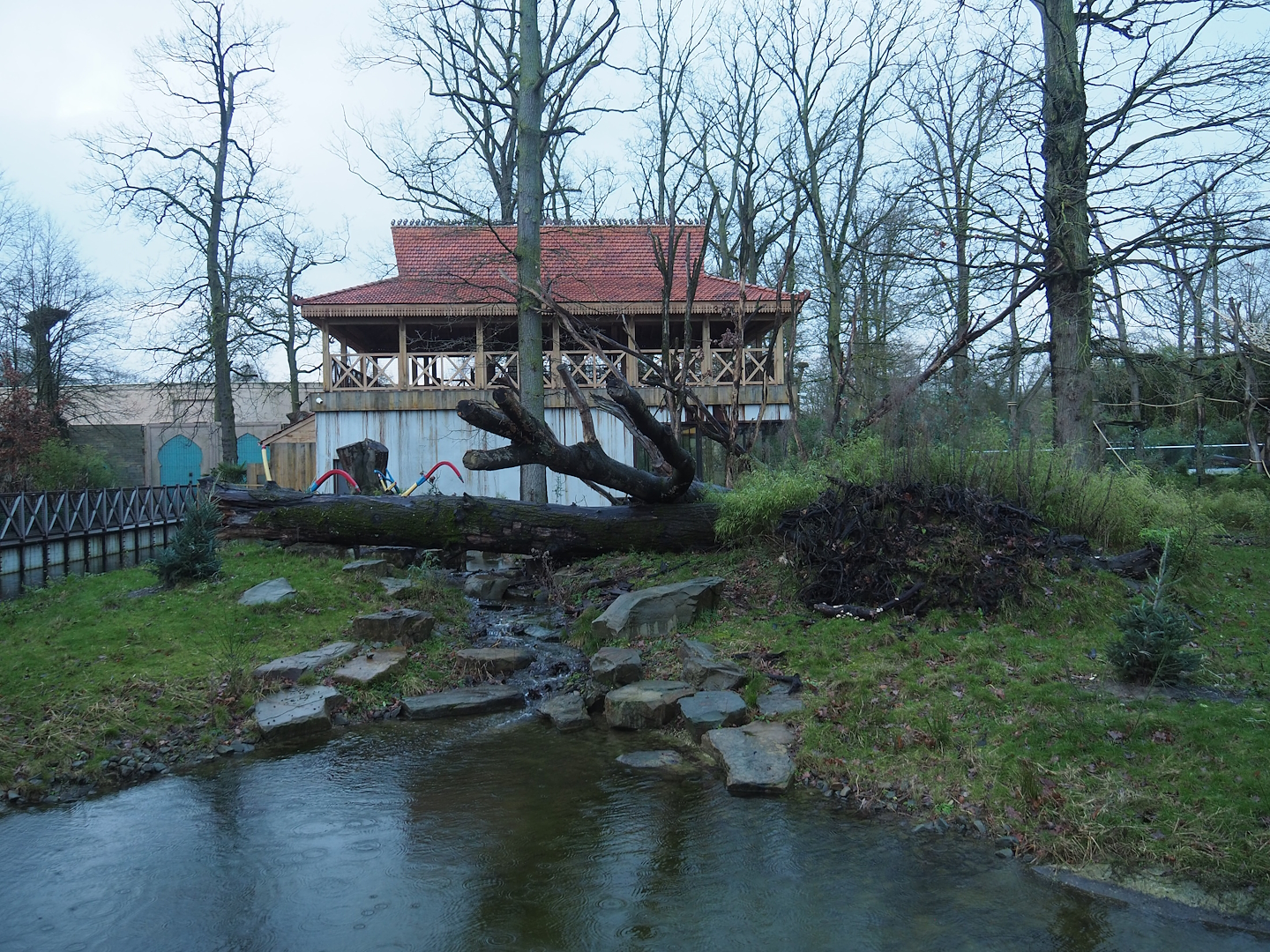 Sulawesi crested macaque island with new viewing area on top of macaque house, 2024-01-01