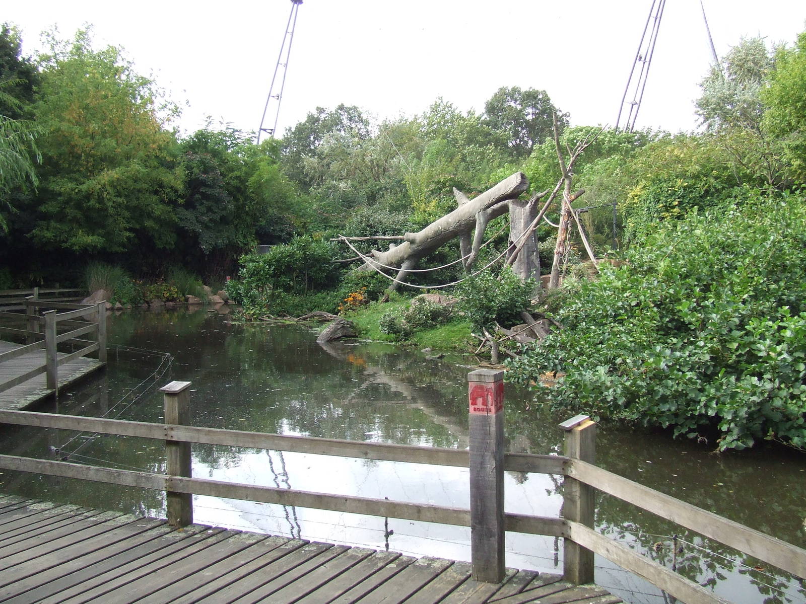 Sulawesi Crested Macaque island