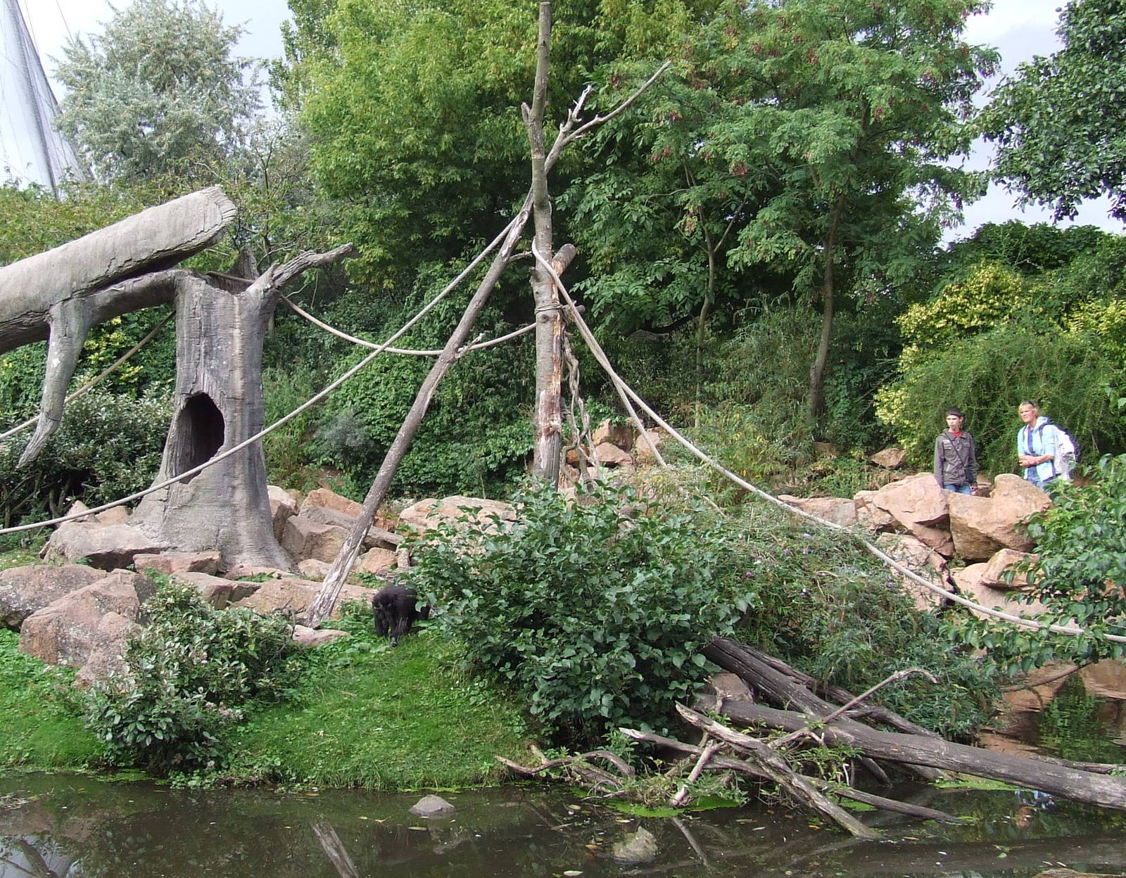 Sulawesi Crested Macaque island