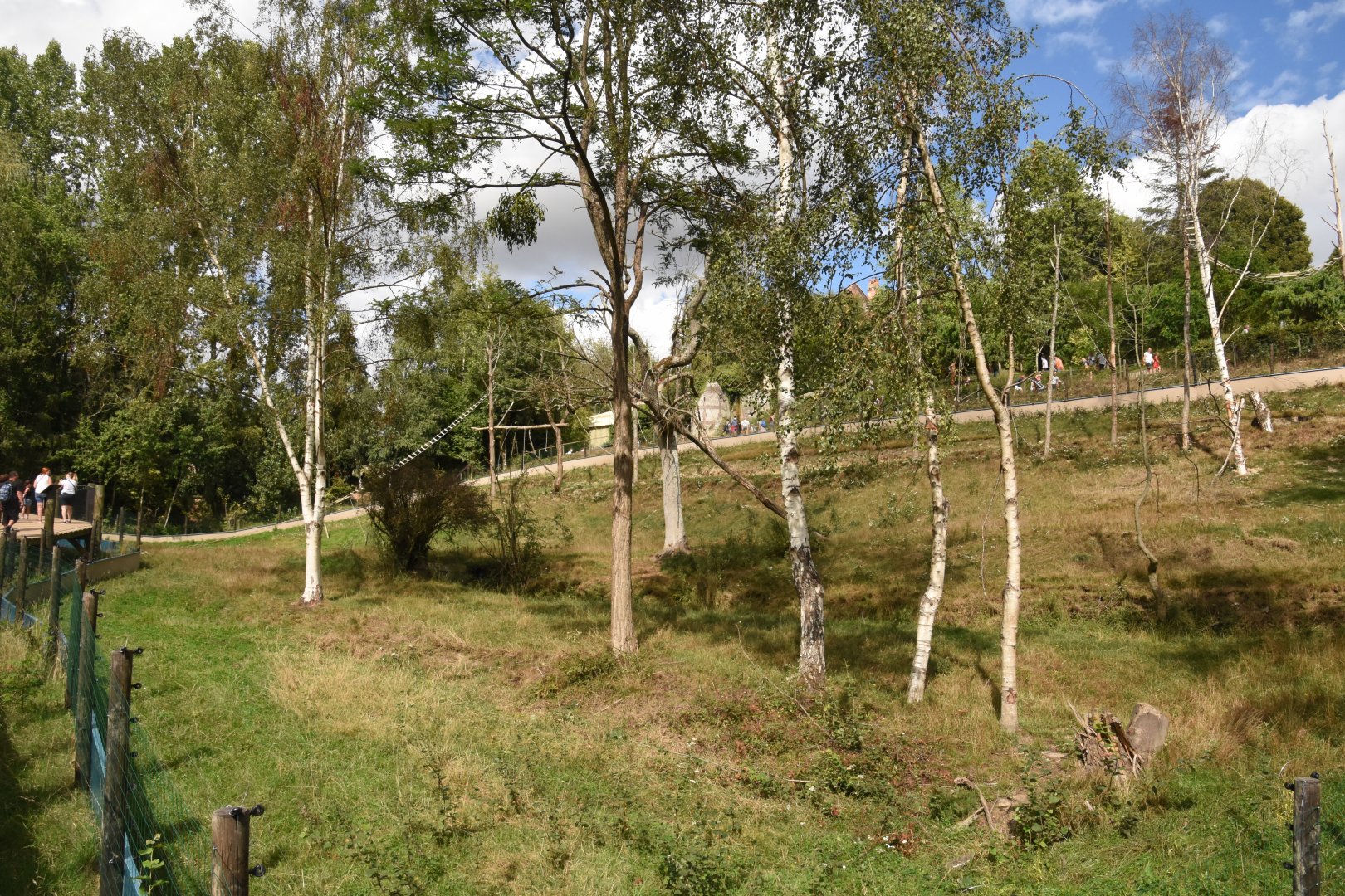 Sulawesi Crested Macaque & Small-clawed Otter enclosure