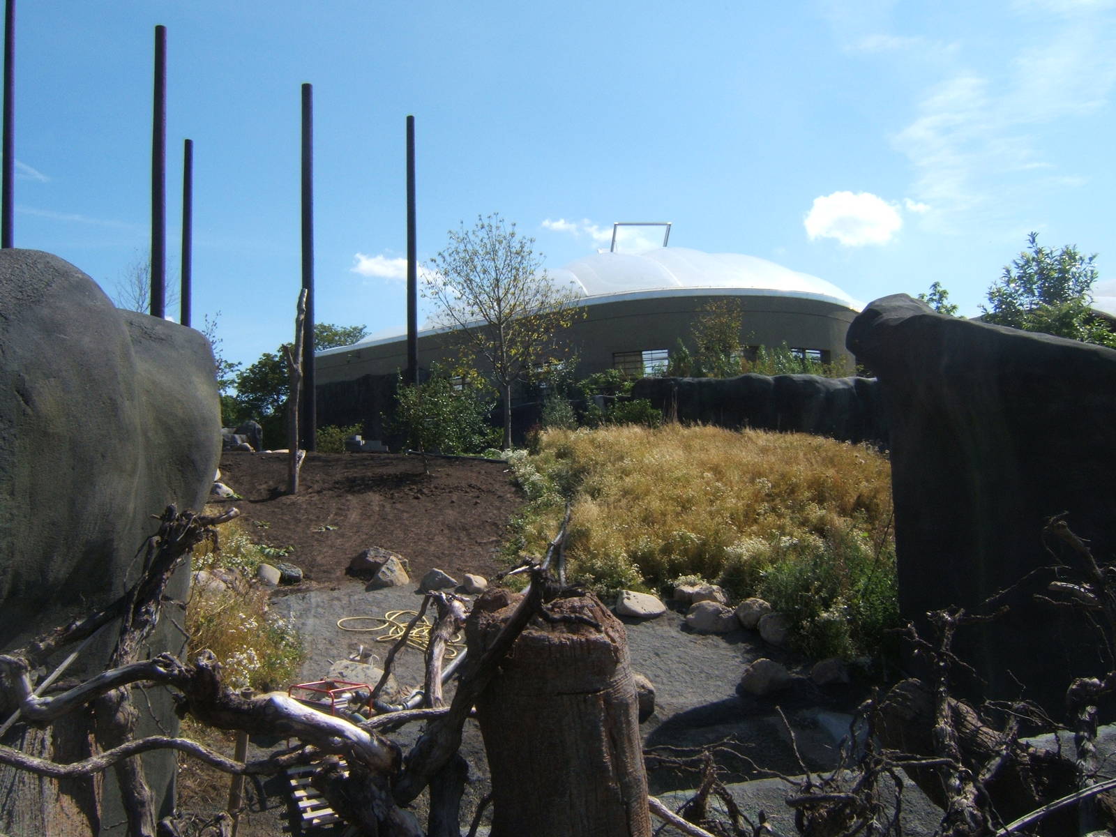 Sulawesi Crested Macaques enclosure
