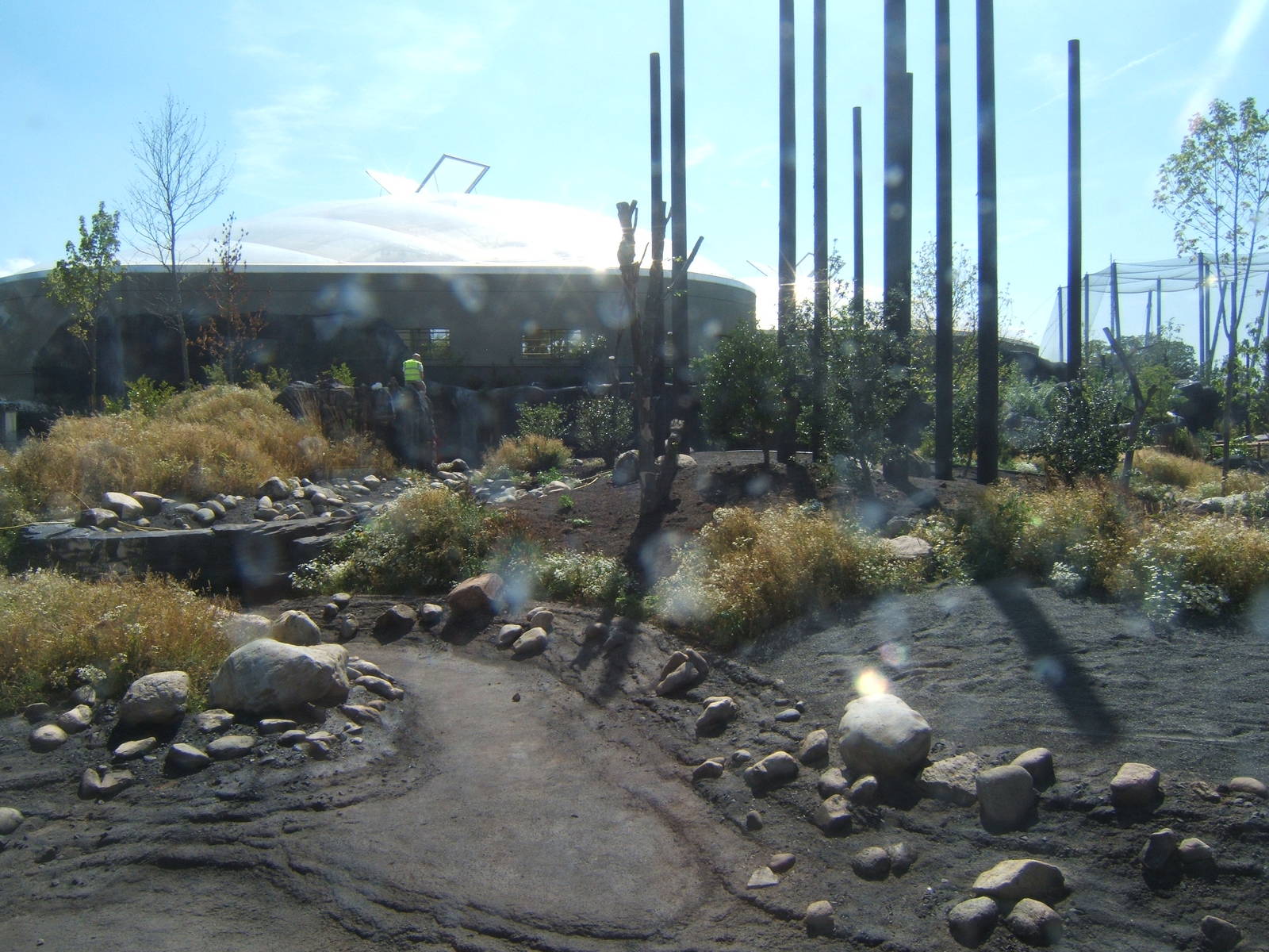 Sulawesi Crested Macaques enclosure