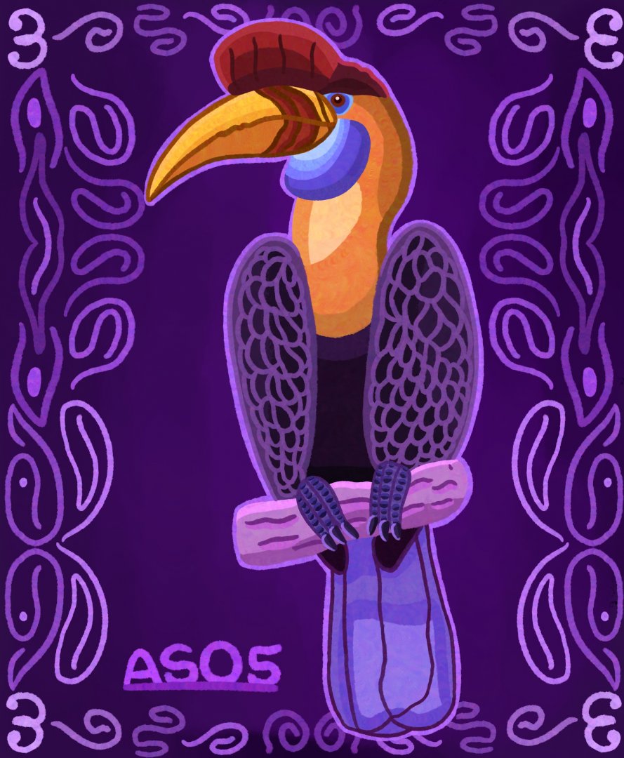 Sulawesi Knobbed Hornbill