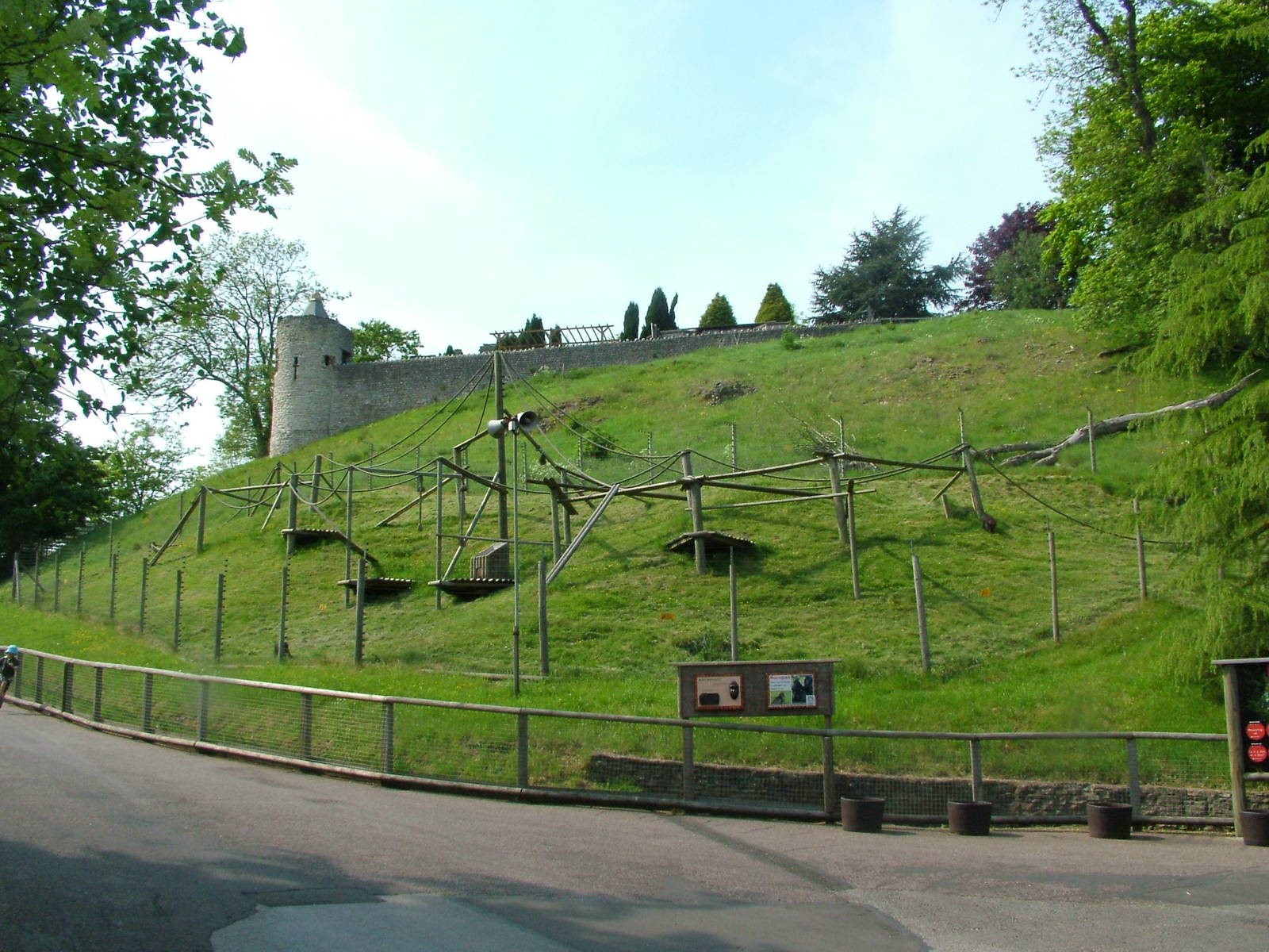 Sulawesi Macaque enclosure at Dudley Zoo May 08