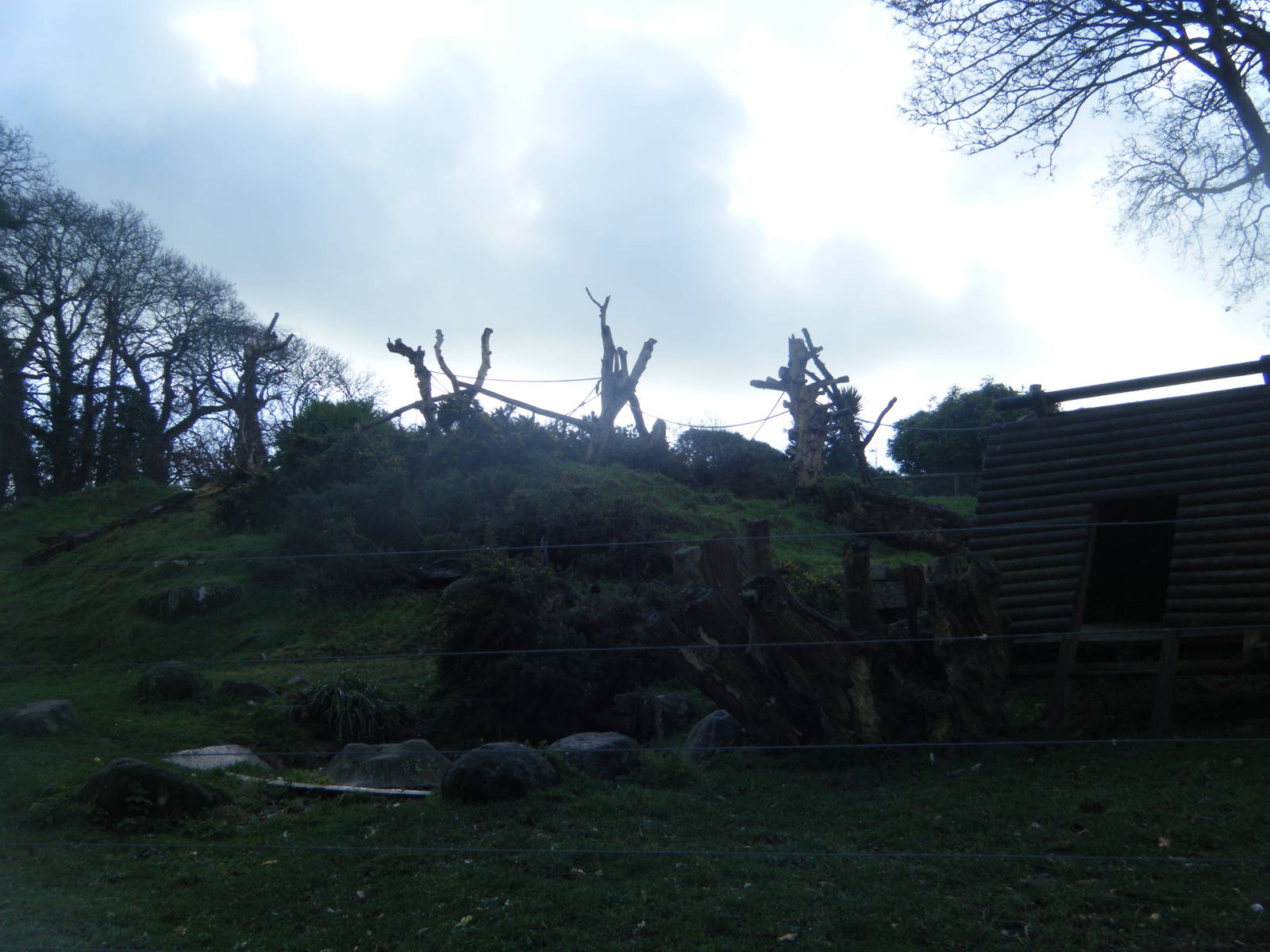 Sulawesi Macaque Enclosure