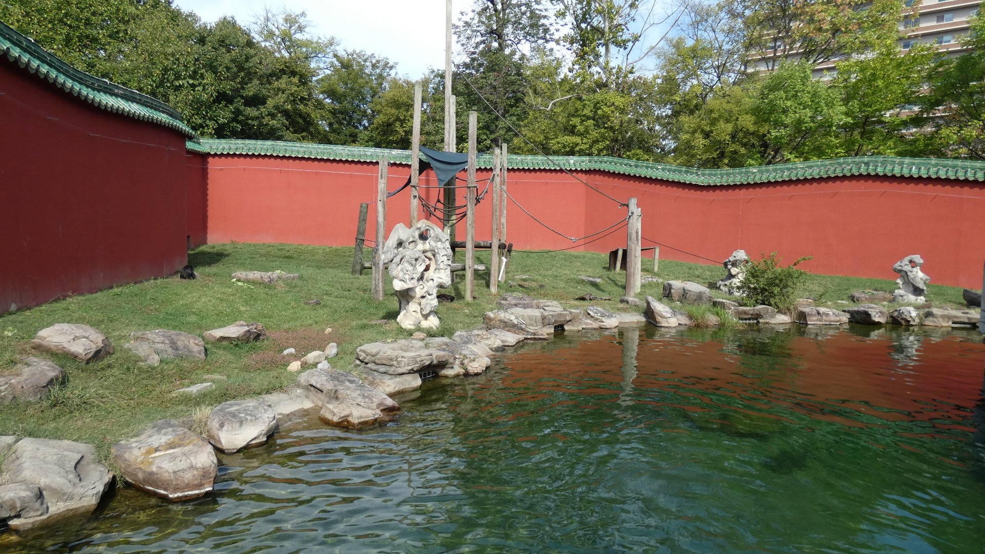 Sulawesi Macaque Exhibit, China - Sep. 2021