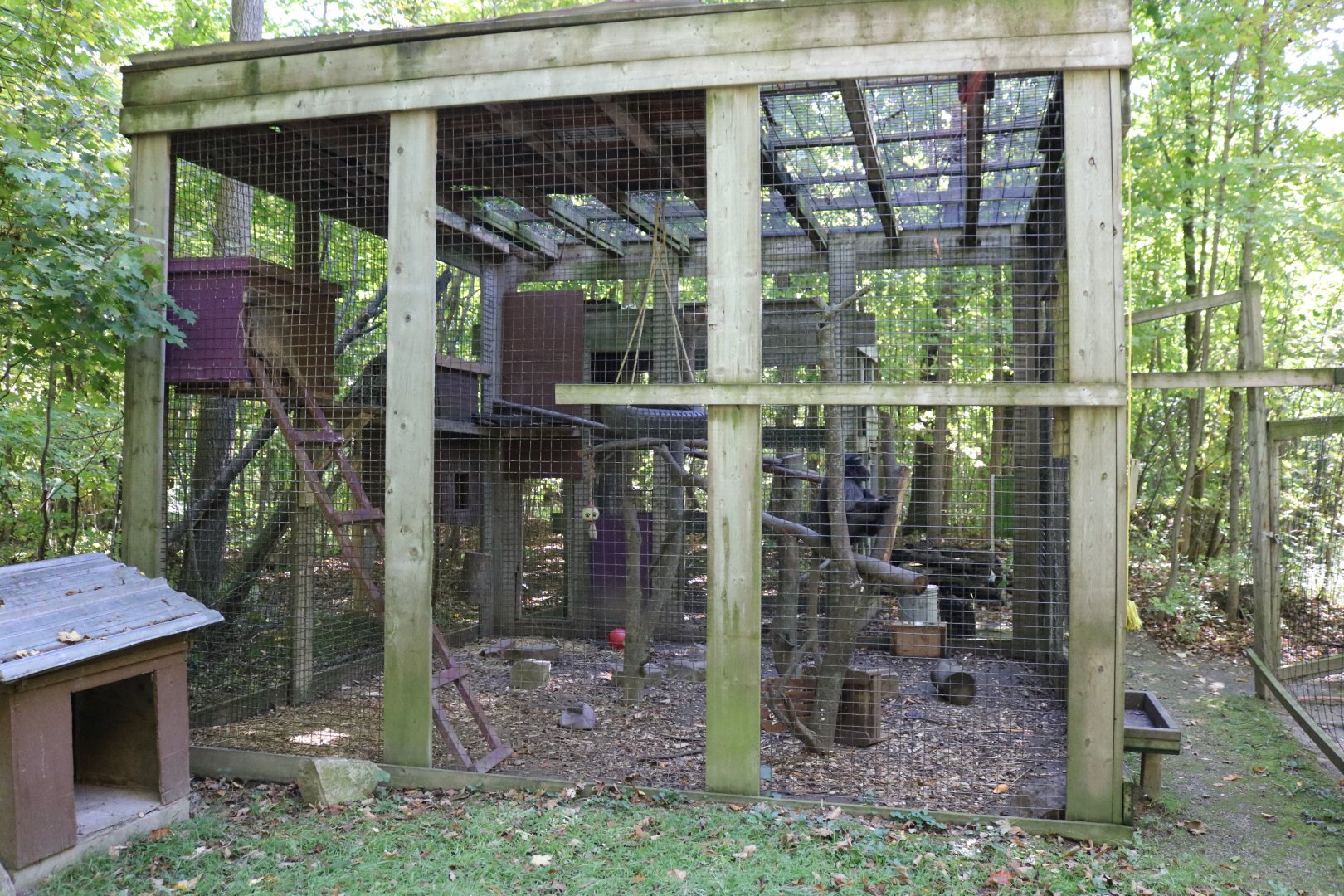 Sulawesi Macaque Exhibt