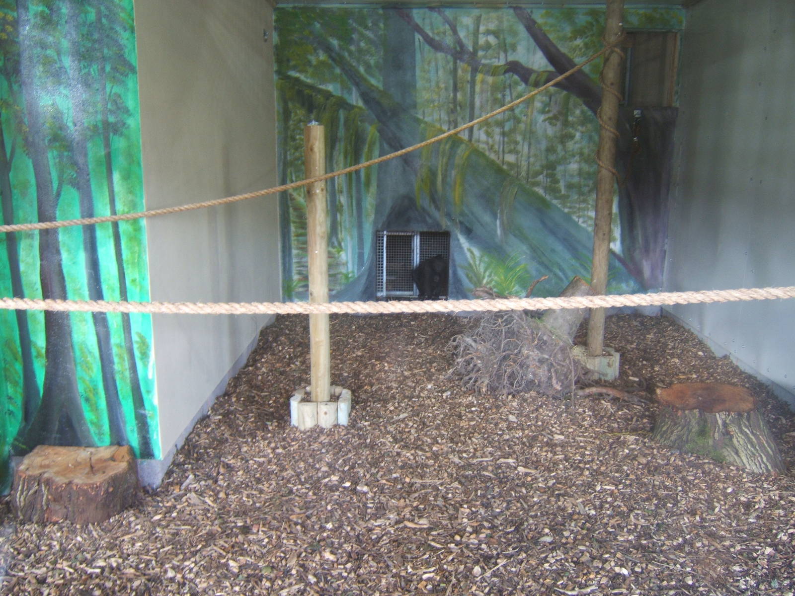 Sulawesi Macaque House