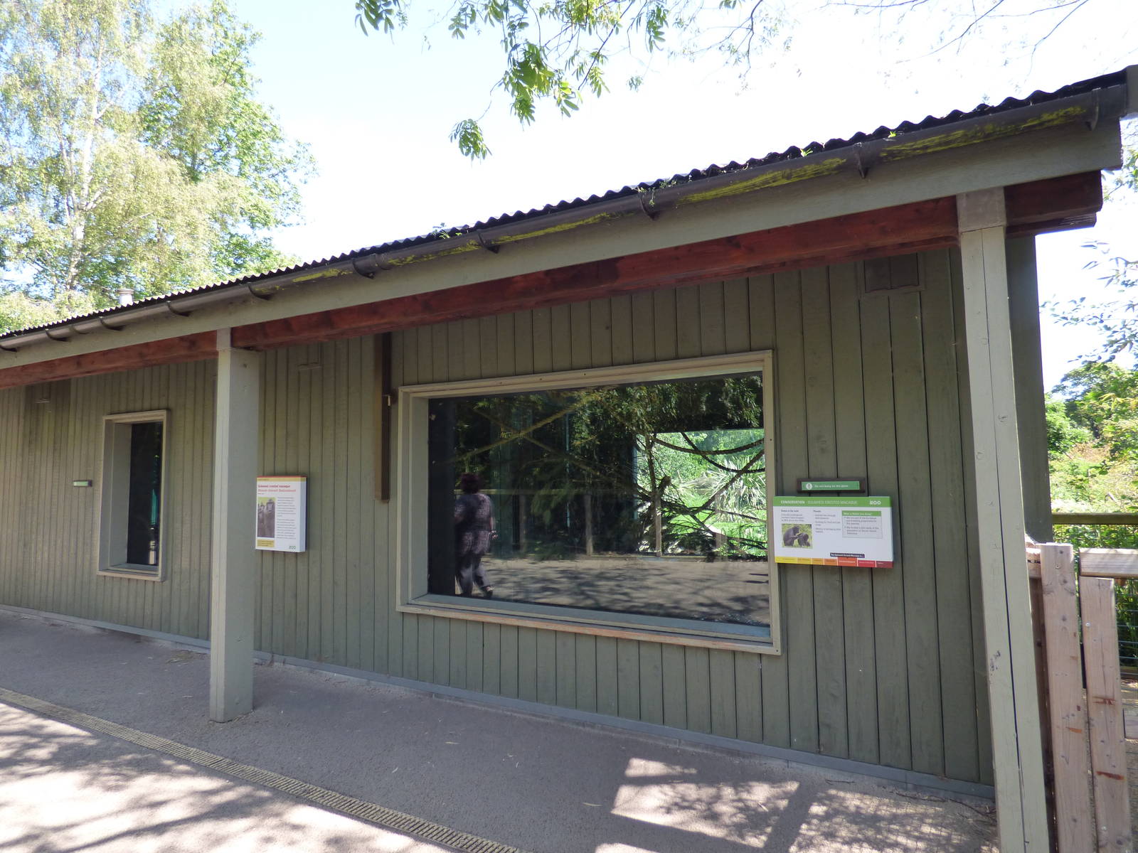 Sulawesi Macaque House