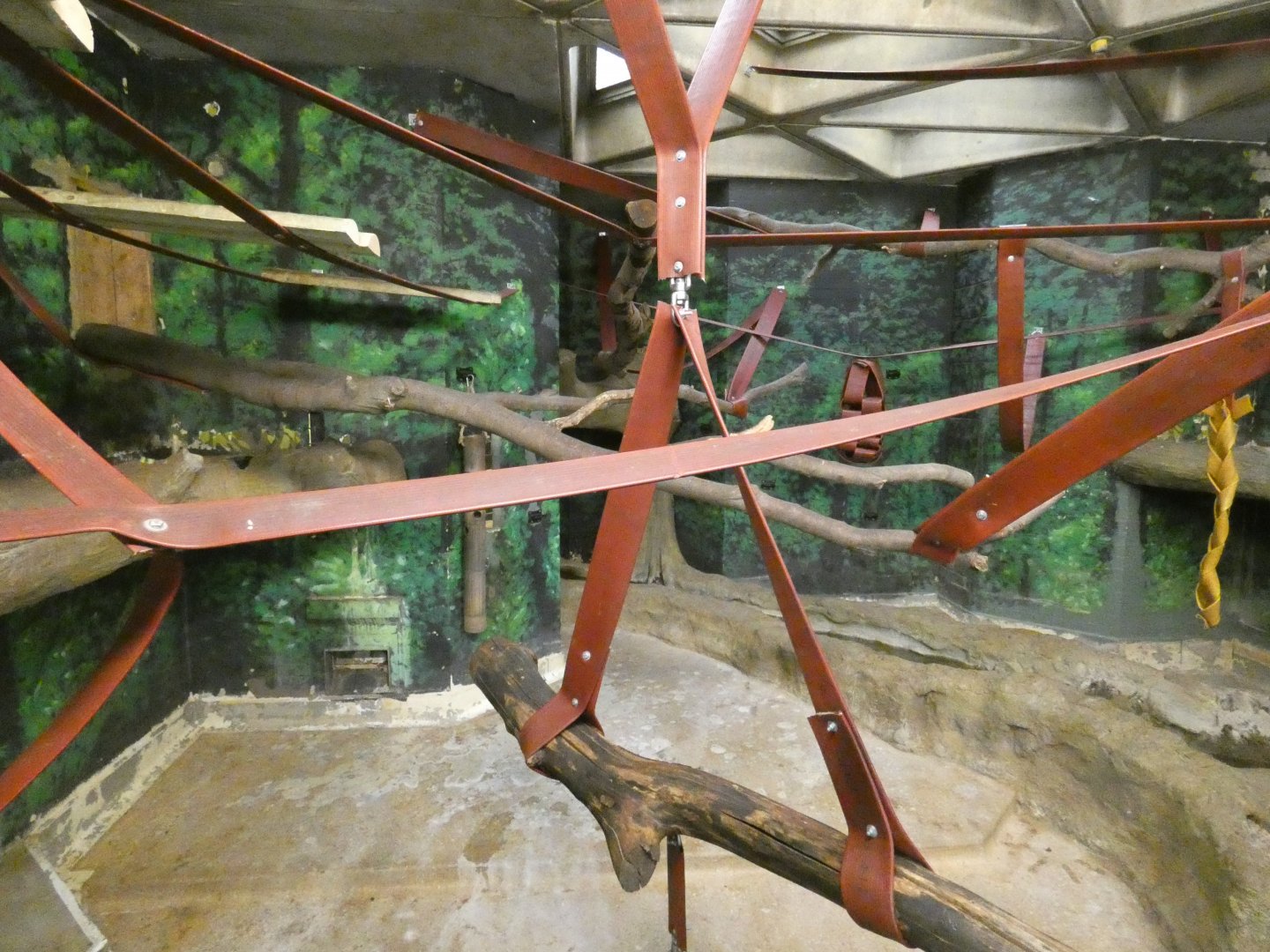 Sulawesi macaque indoor enclosure (2)