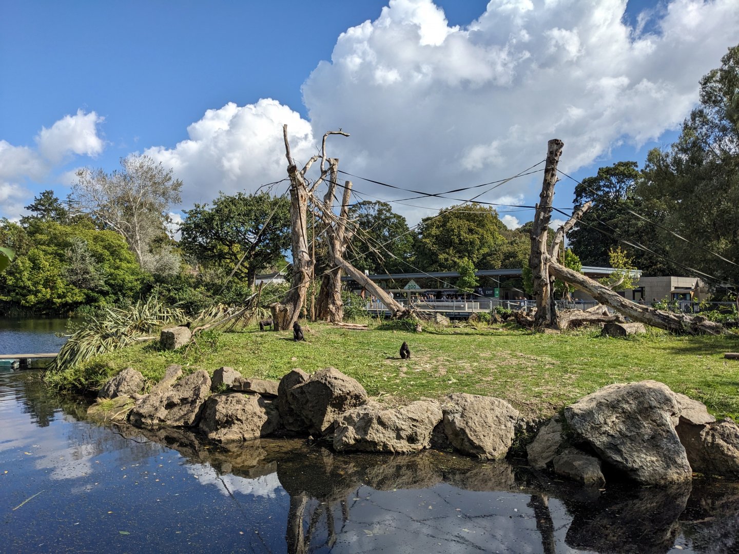 Sulawesi Macaque Island