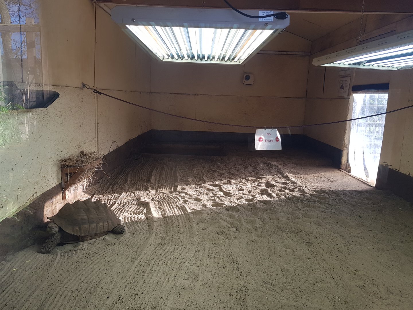 Sulcata Indoor Enclosure