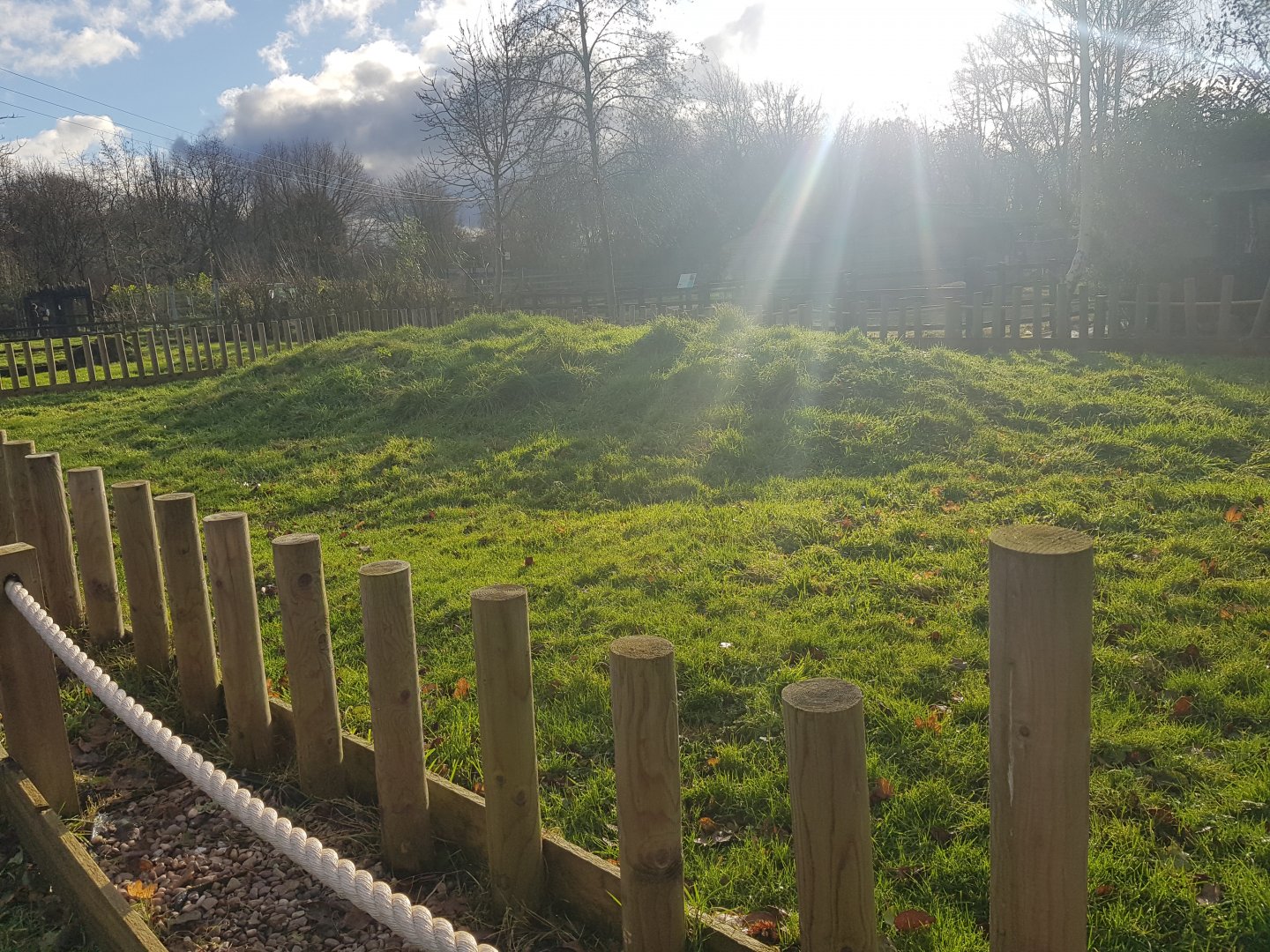 Sulcata Outdoor Enclosure