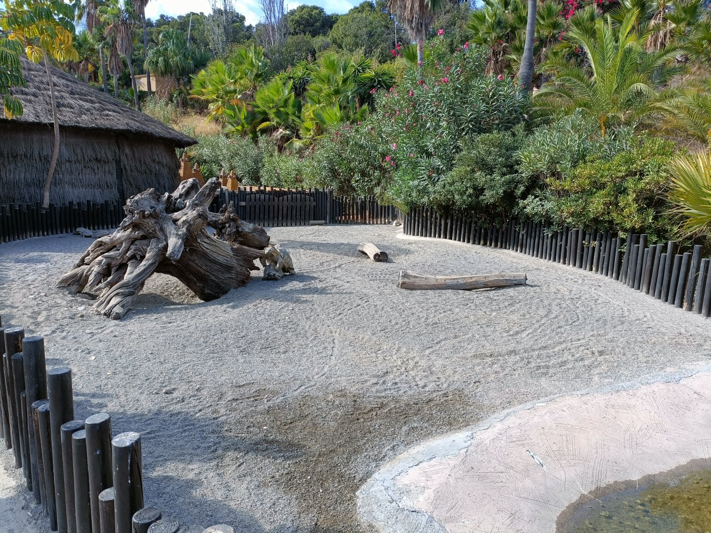 Sulcata tortoise and leopard tortoise exhibit - Crocodile park Torremolinos