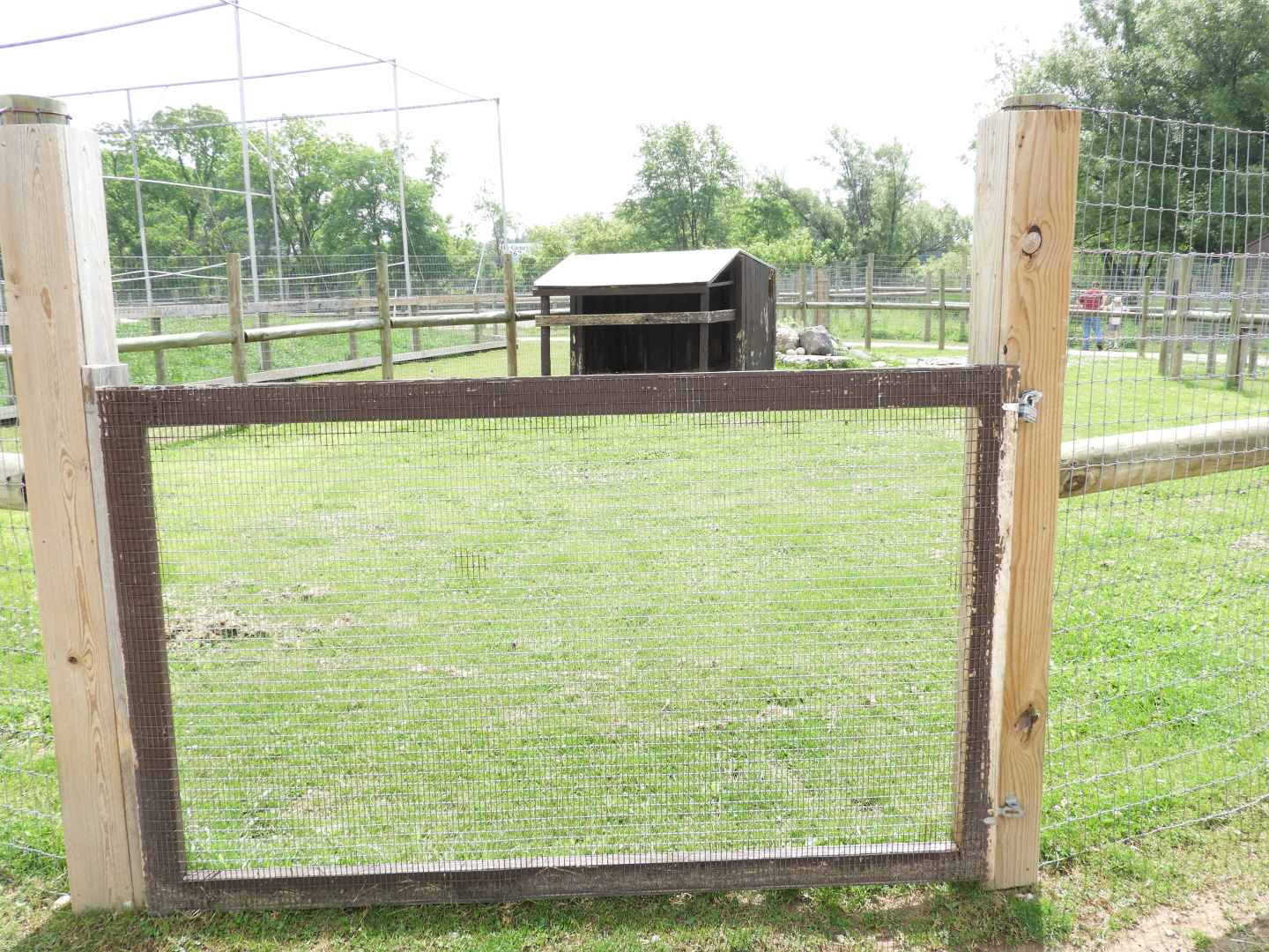 Sulcata Tortoise/Capybara exhibit - Baby Barn - Animal Gardens Petting Zoo