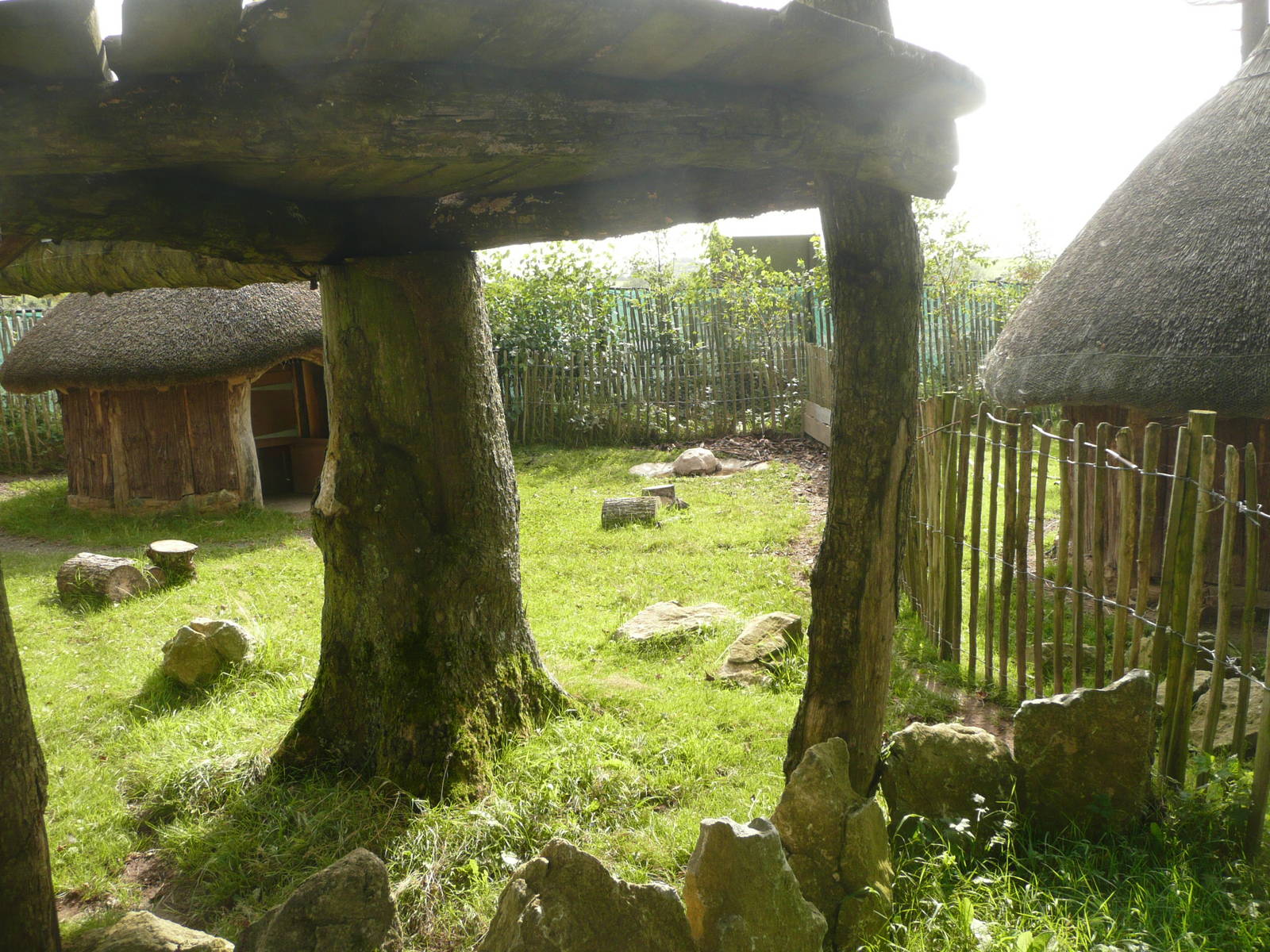 Sulcata tortoise enclosure