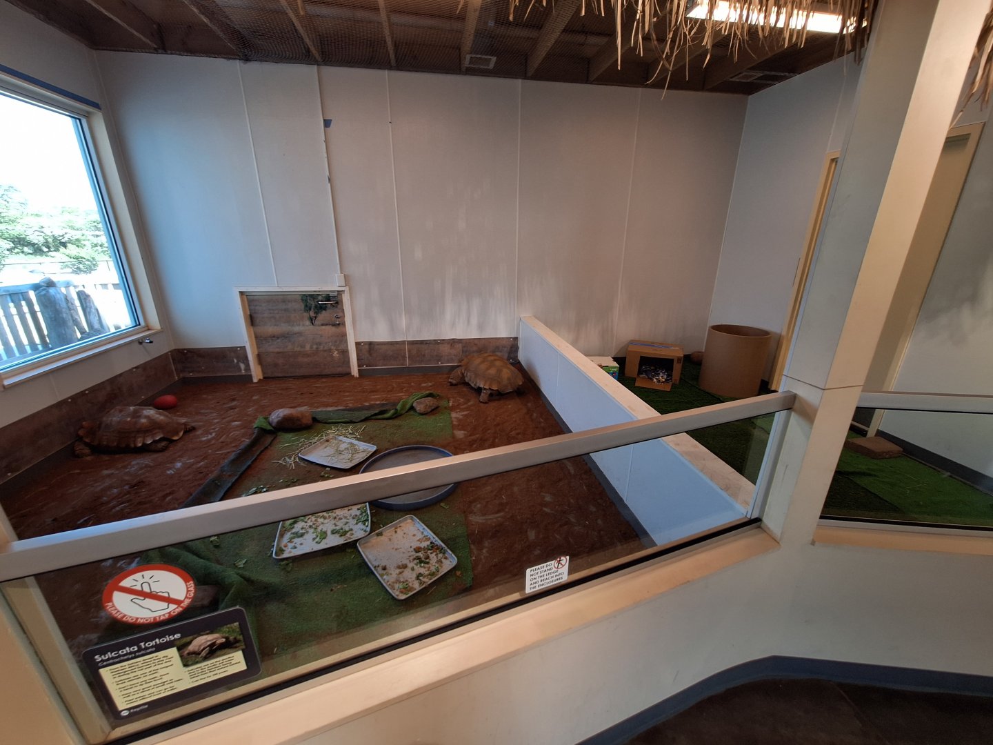 Sulcata Tortoise Enclosure