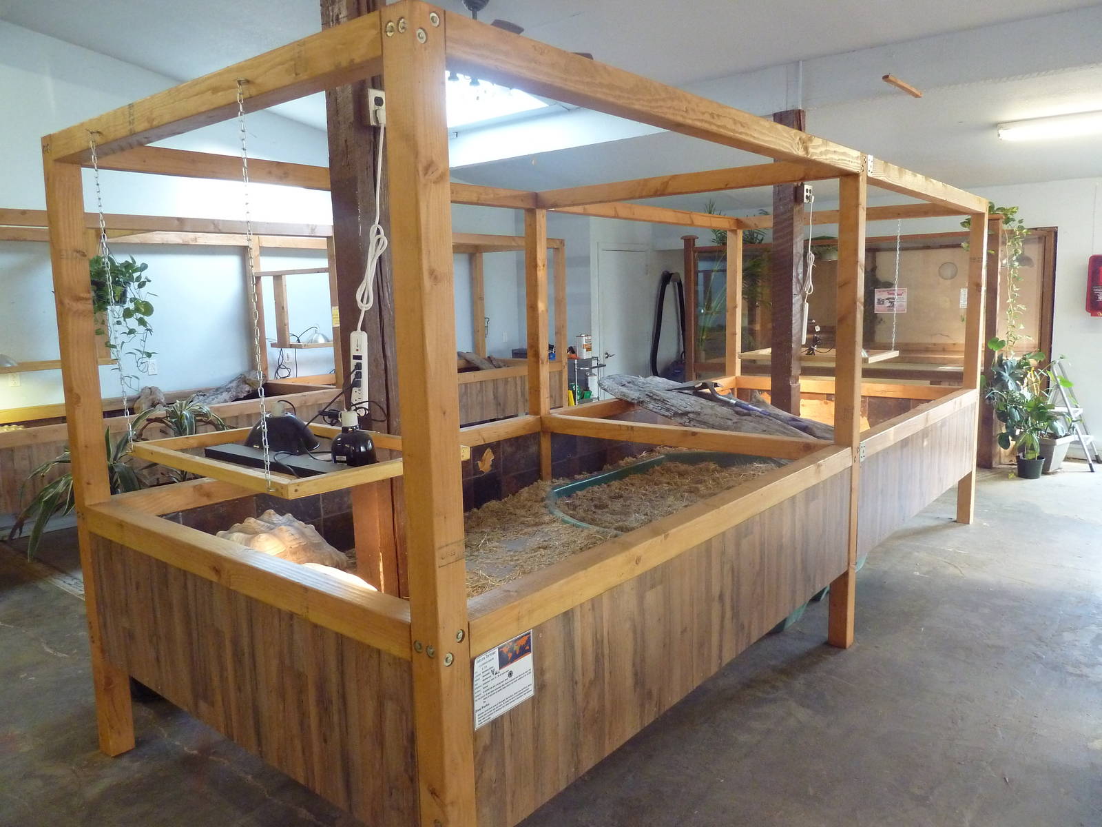 Sulcata Tortoise Exhibit