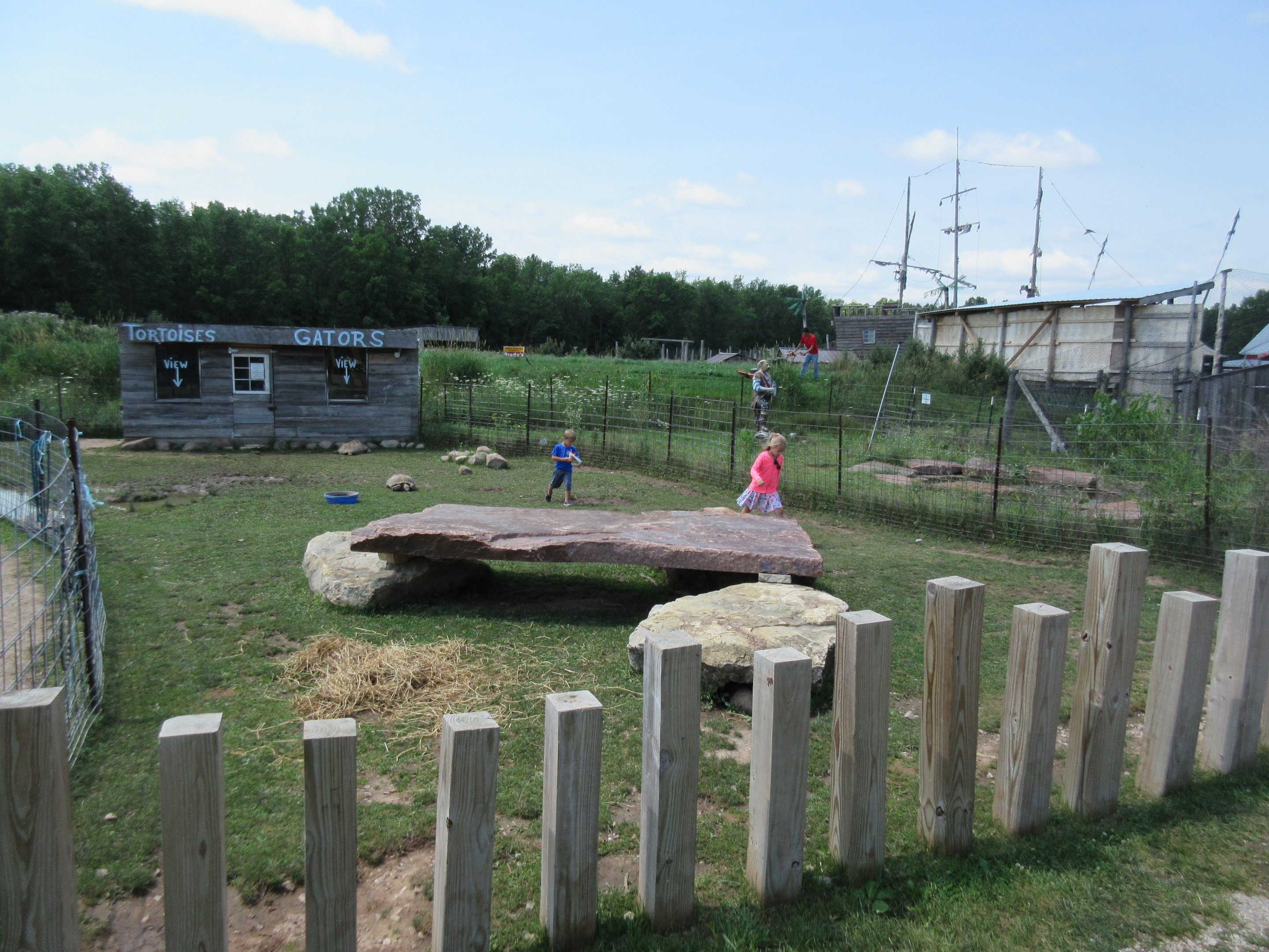 Sulcata Tortoise Exhibit