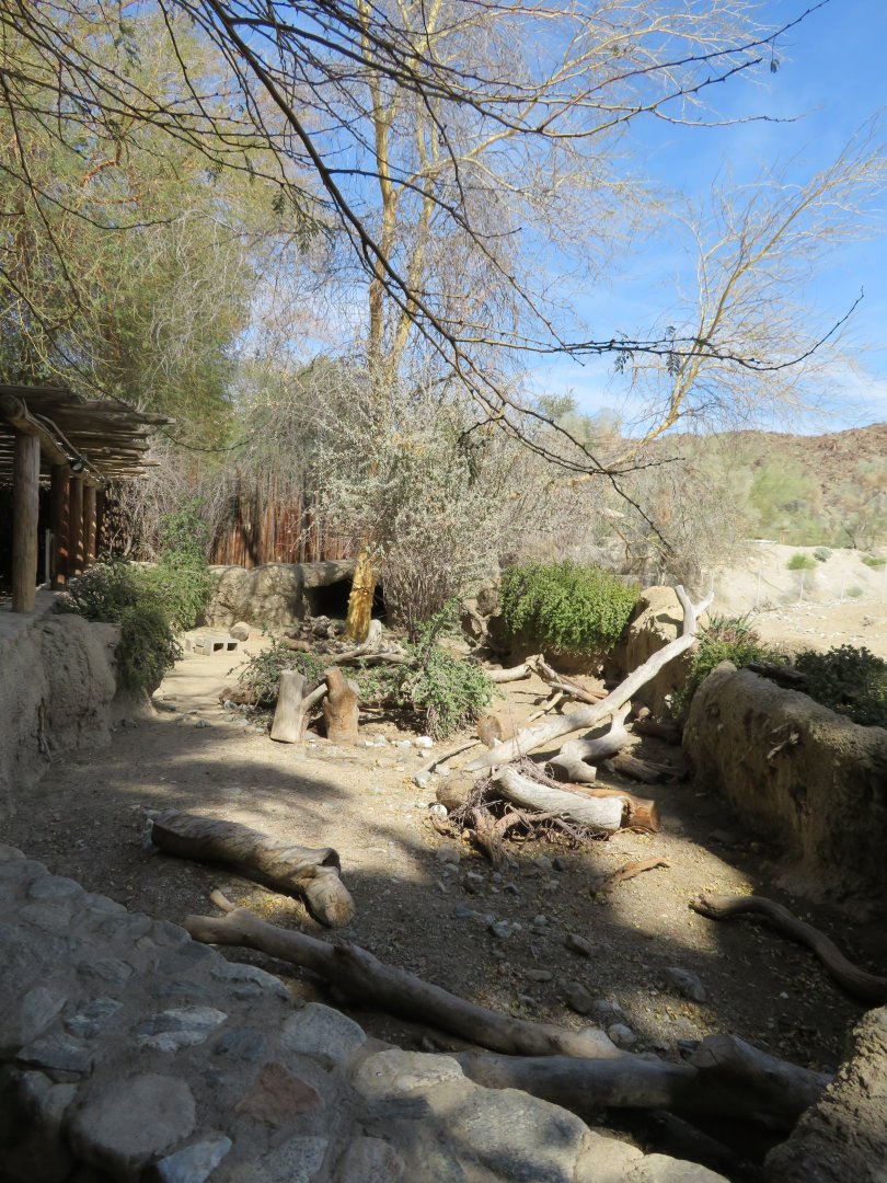 Sulcata Tortoise Exhibit