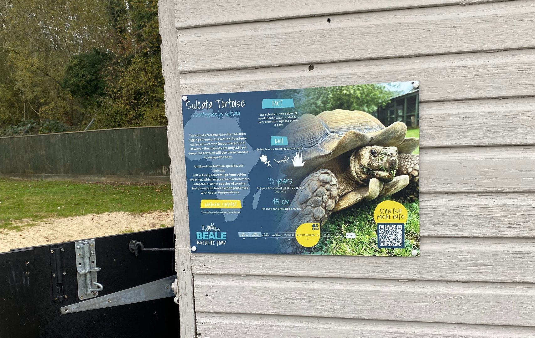 Sulcata tortoise signage, Beale Park, UK
