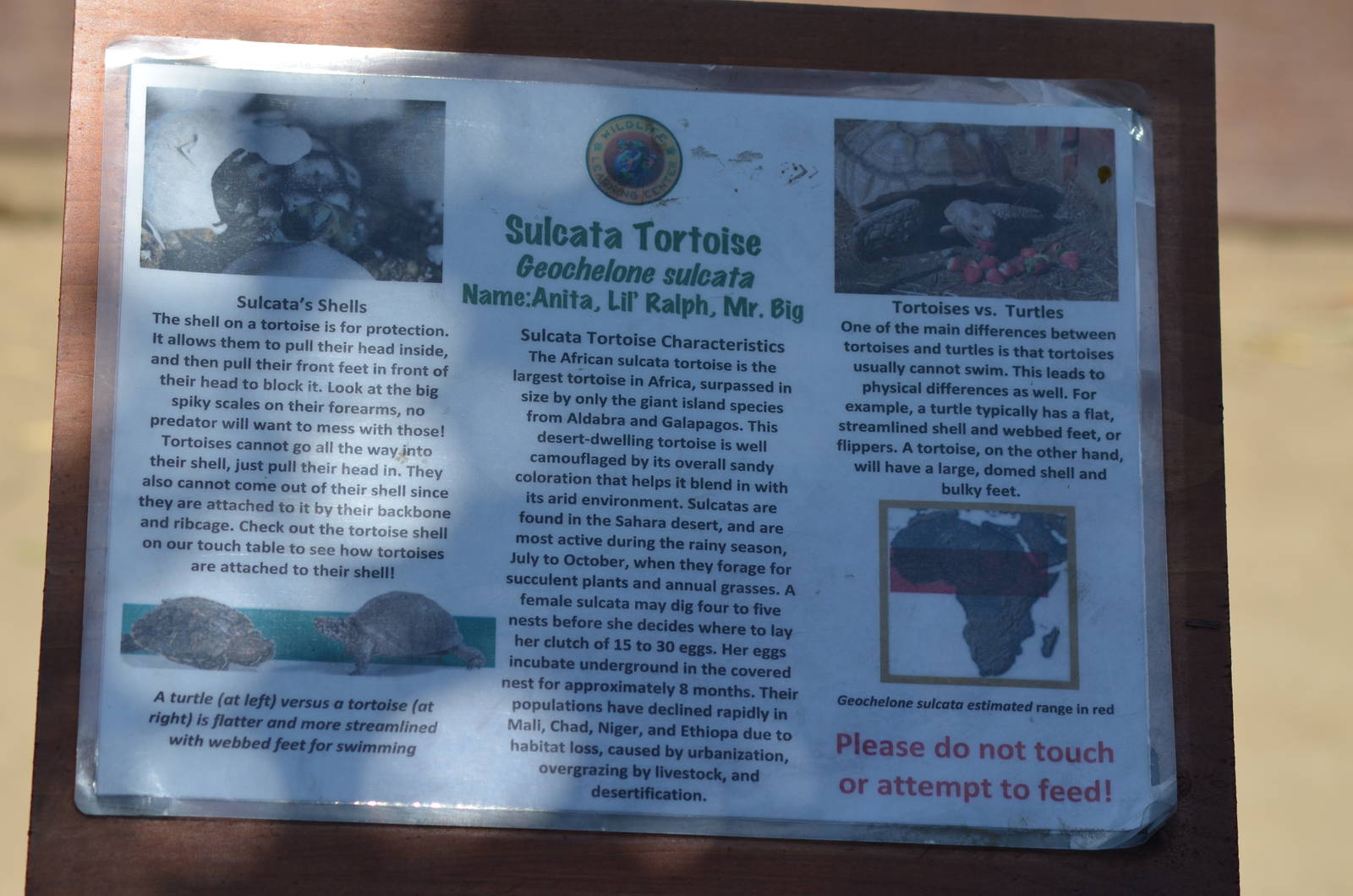 Sulcata Tortoise Signage