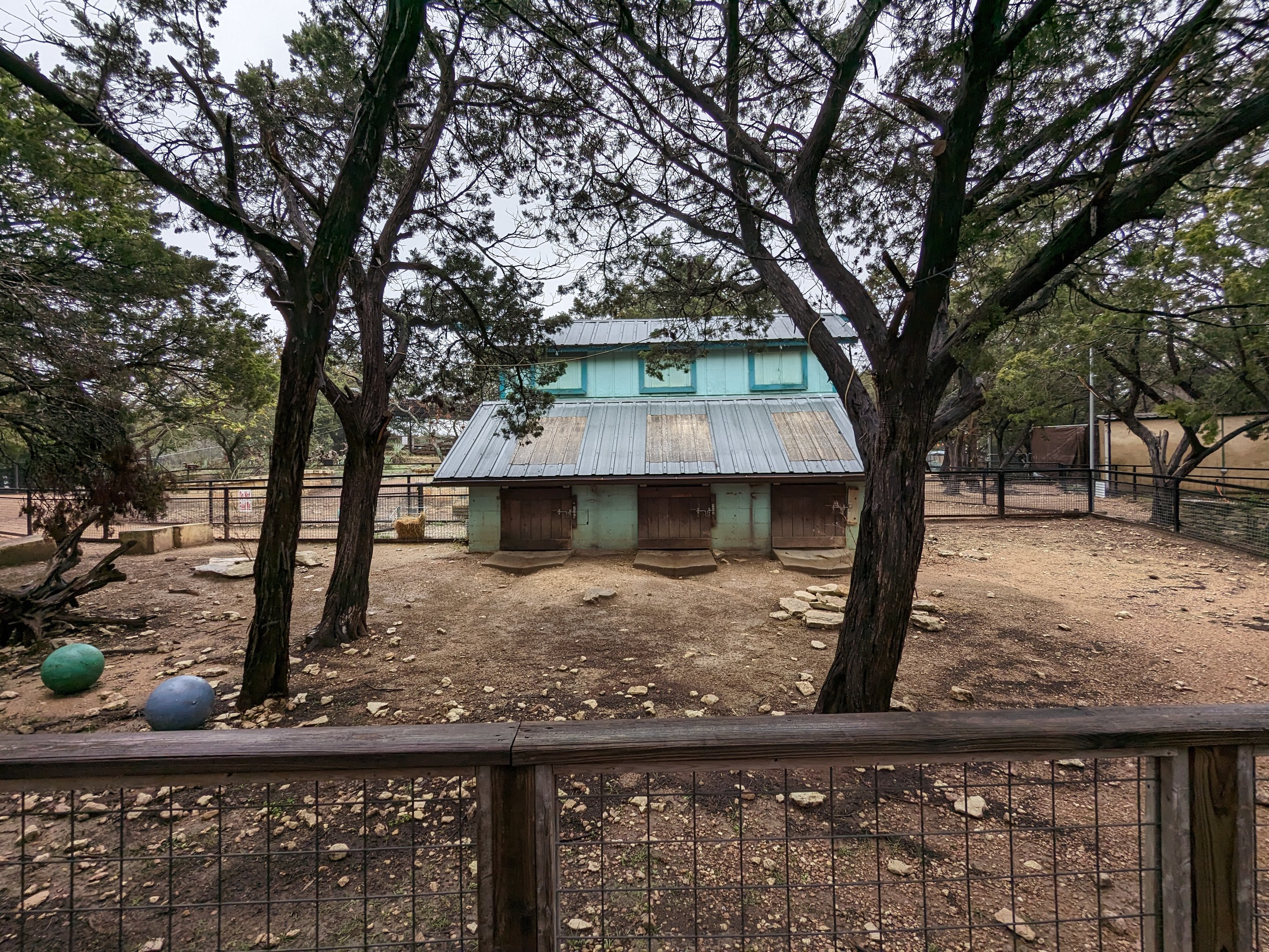 Sulcata tortoise yard and barn.