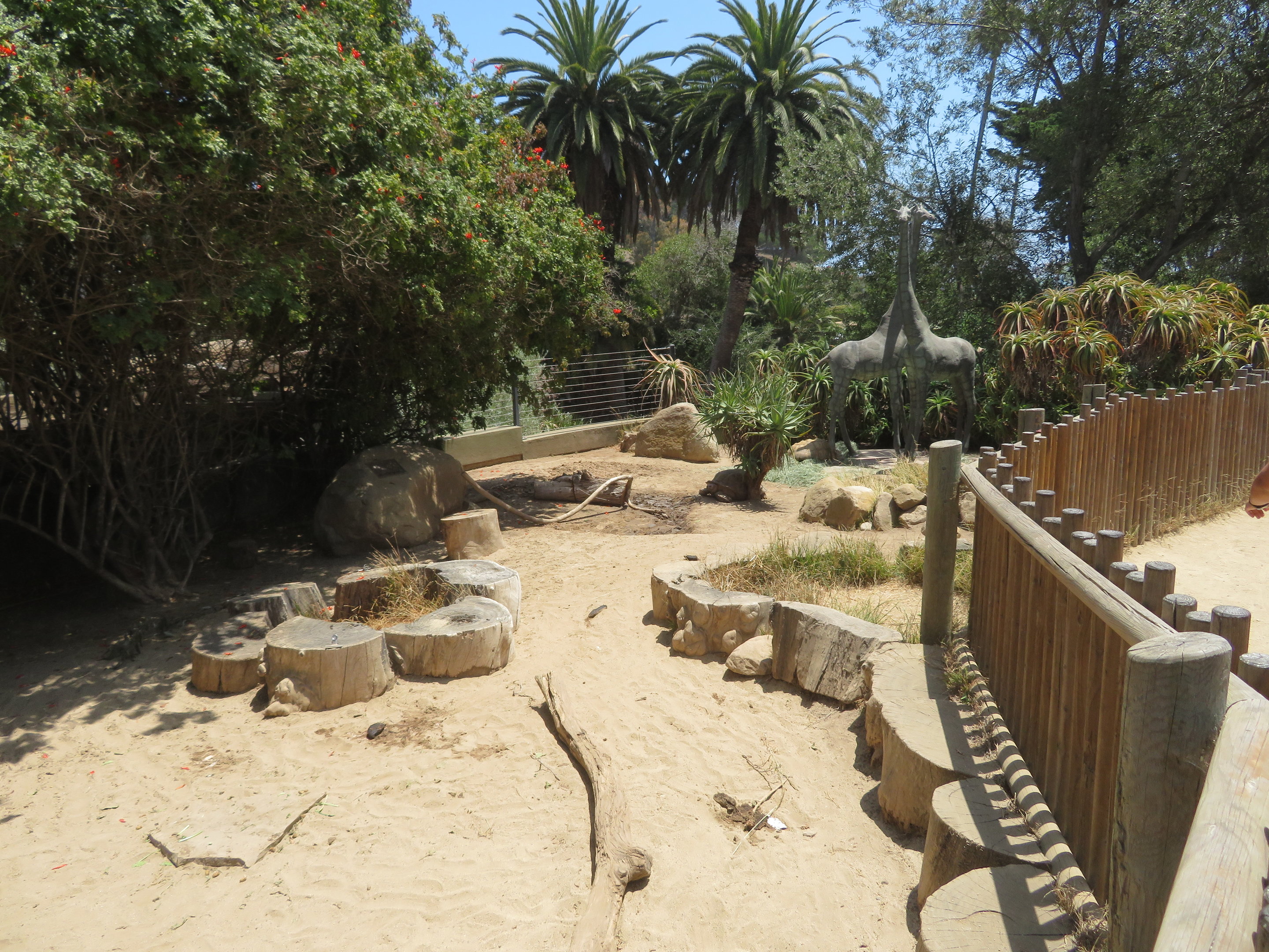 Sulcata Tortoise Yard