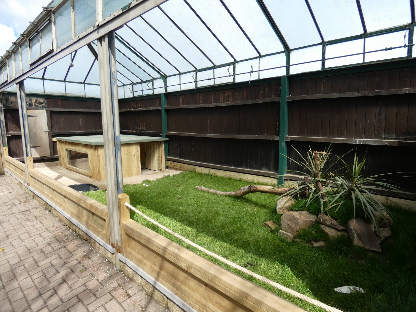 Sulcatta tortoise enclosure