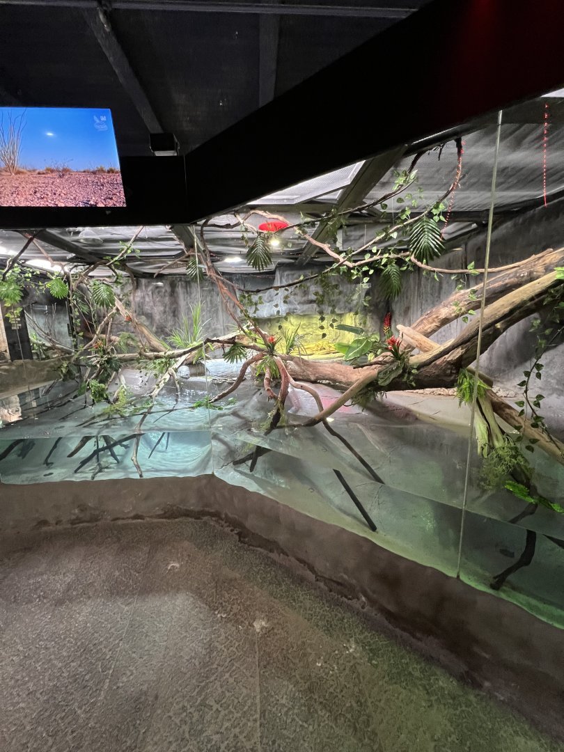 Sulfur Water Monitor Exhibit