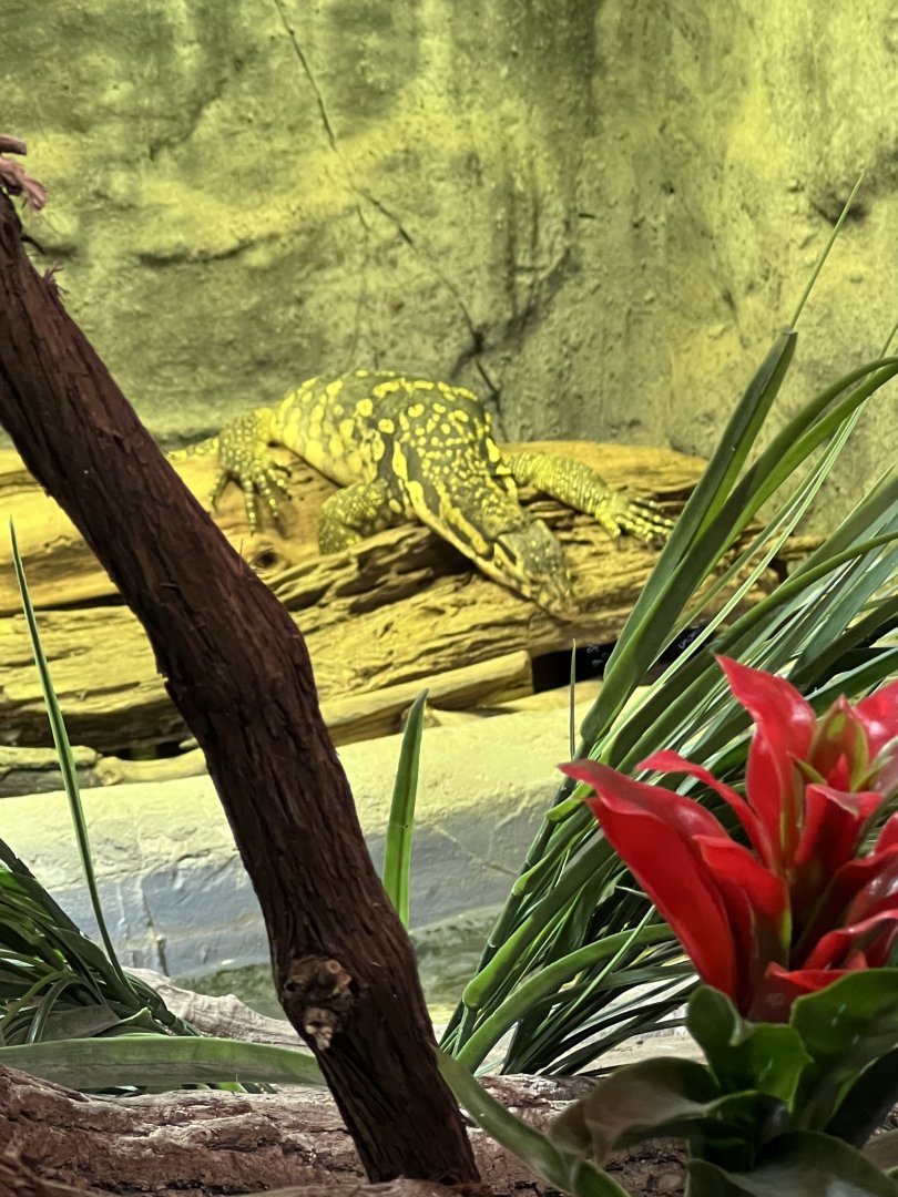 Sulfur Water Monitor