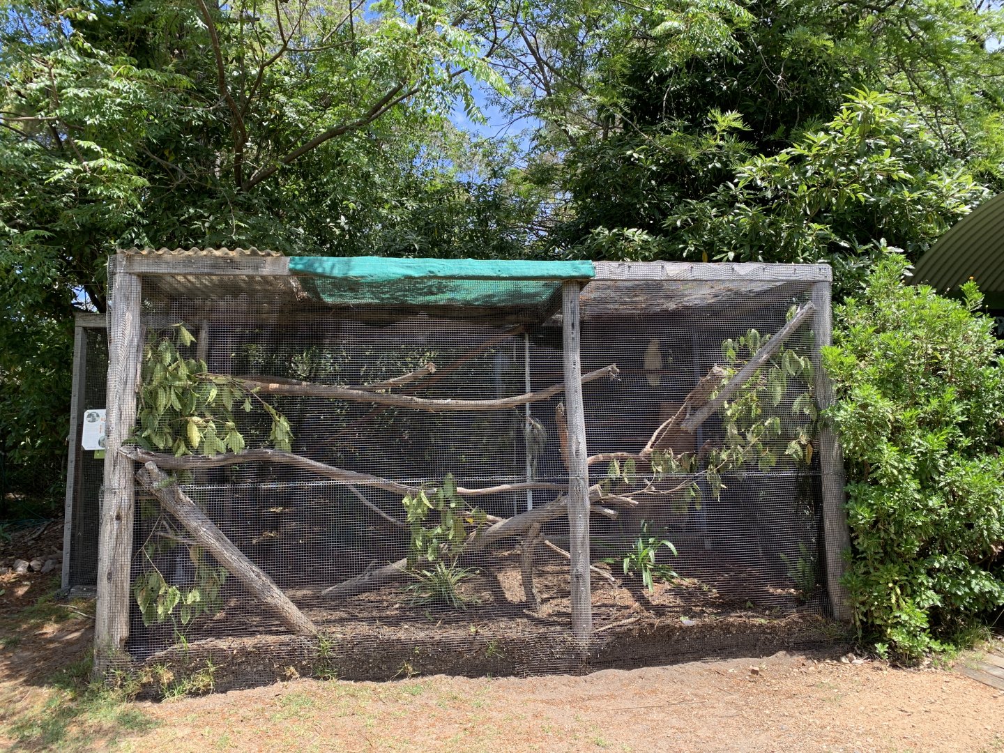 Sulphur-crested Cockatoo Aviary (Potoroo Palace)