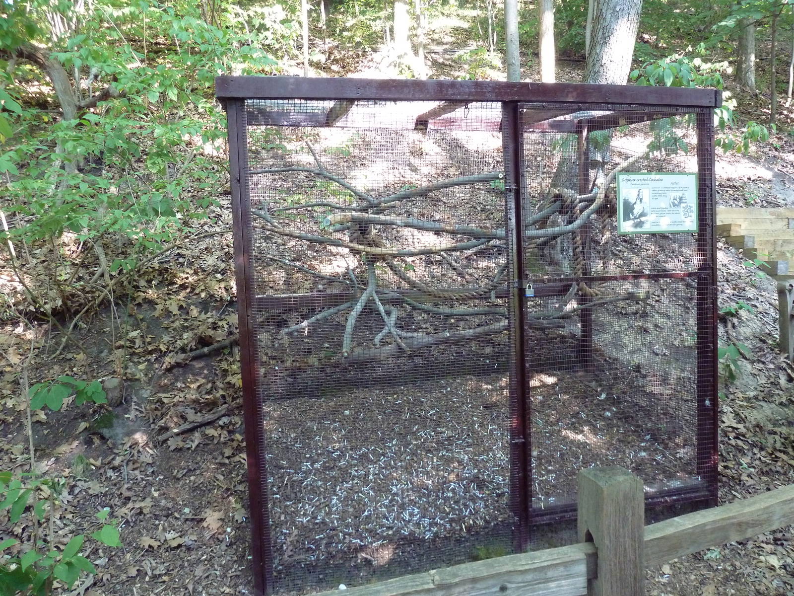 Sulphur-Crested Cockatoo Cage