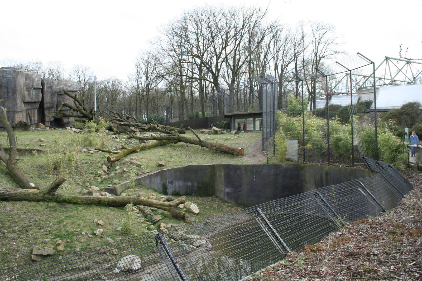 Sumatan tiger exhibit 3