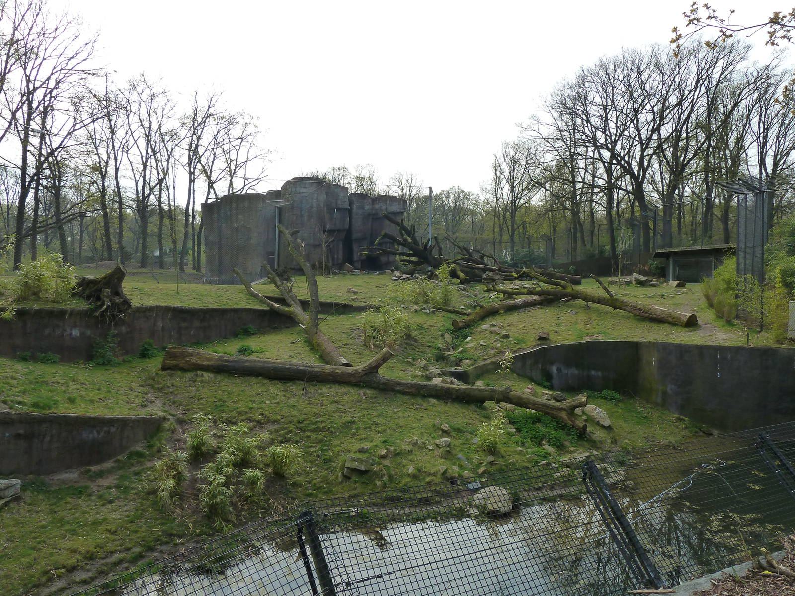 Sumatan tiger exhibit