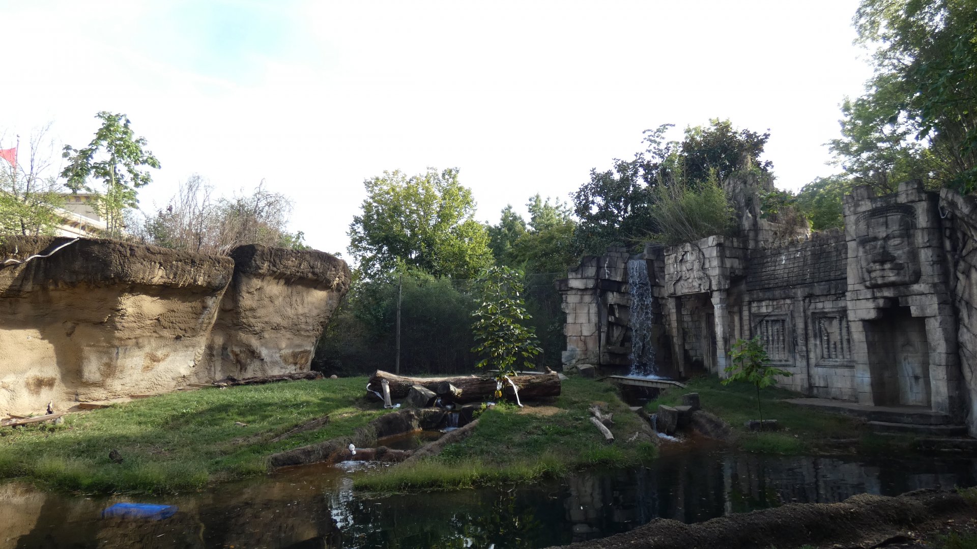 Sumatran/Bengal Tiger Exhibit, Cat Country - Sep. 2021