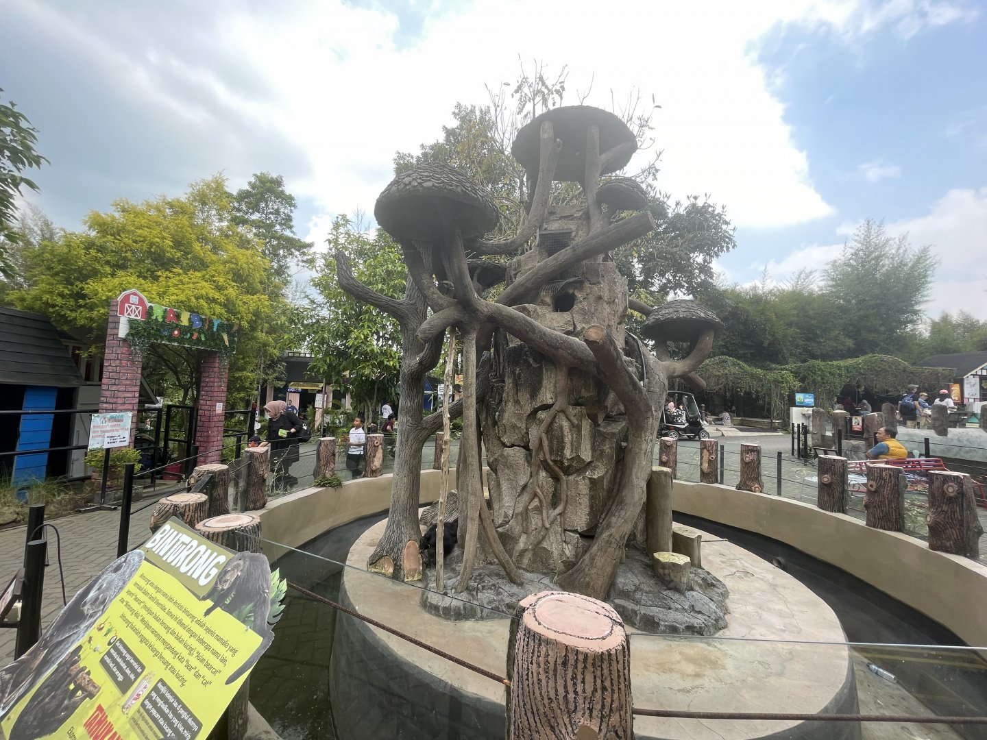 sumatran binturong exhibit