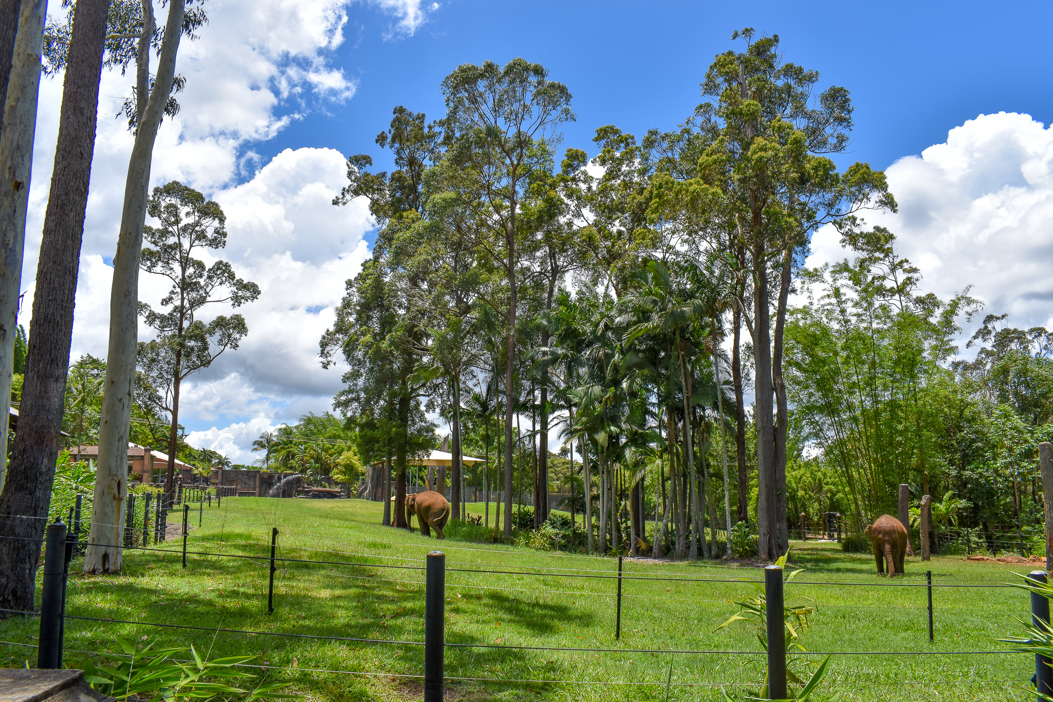 Sumatran Elephant Enclosure