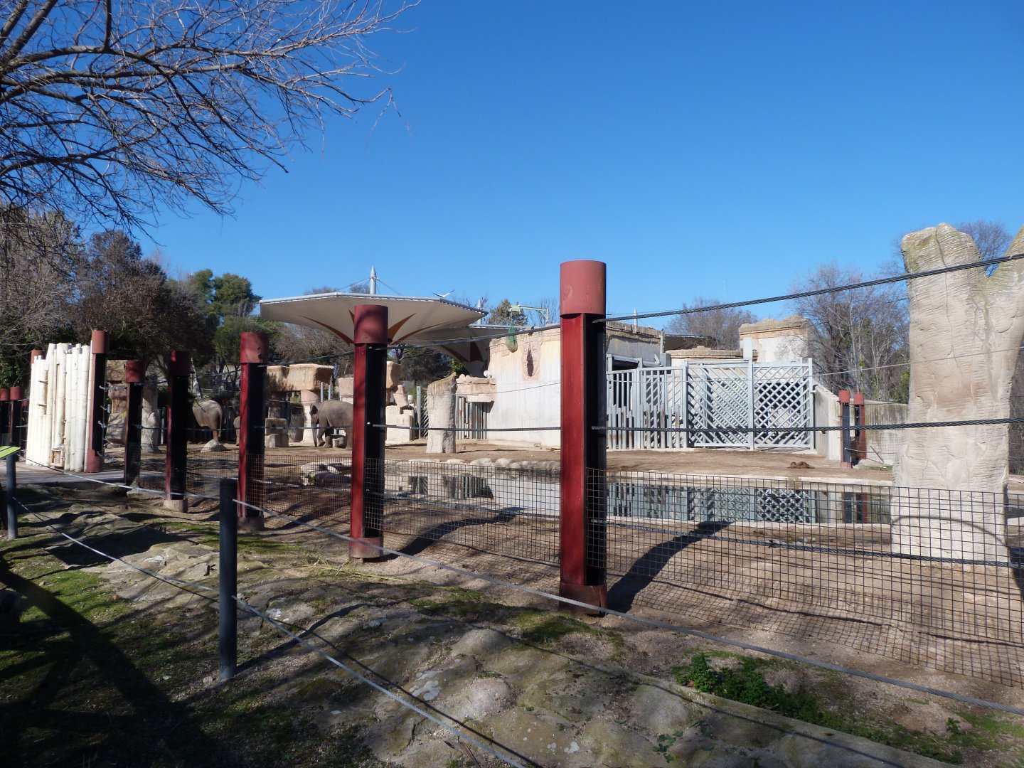 Sumatran elephant exhibit -Zoo Aquarium de Madrid (2025)