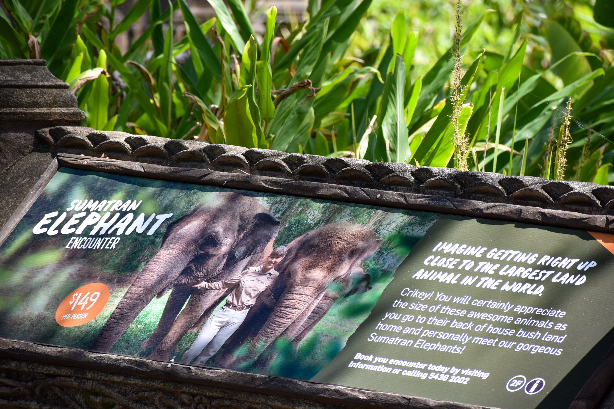 Sumatran Elephant Sign