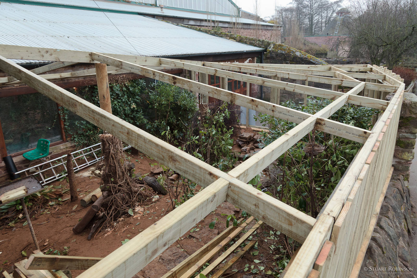 Sumatran Laughingthrush Aviary Redevelopment - 22/01/2011