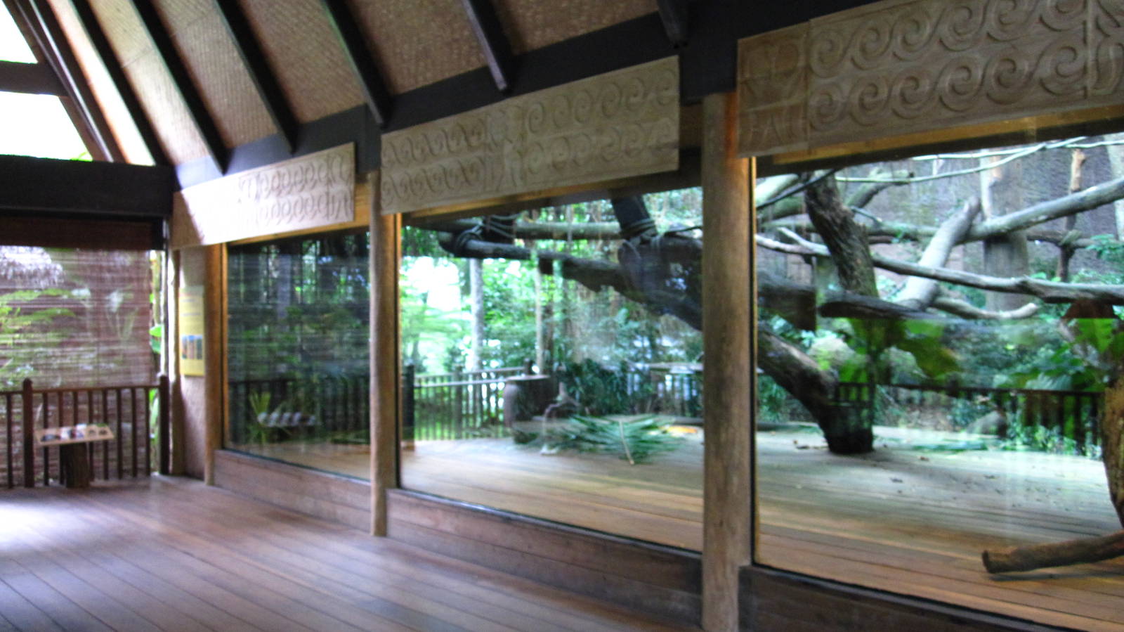 Sumatran Orang Utan Exhibit, Singapore Zoo